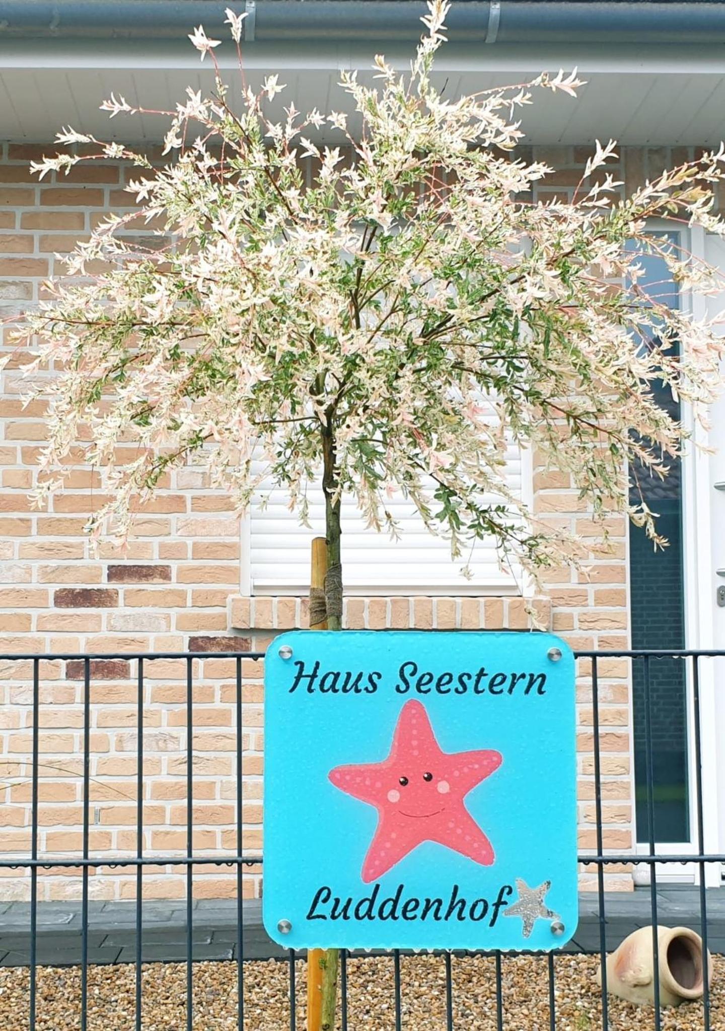 Haus Seestern