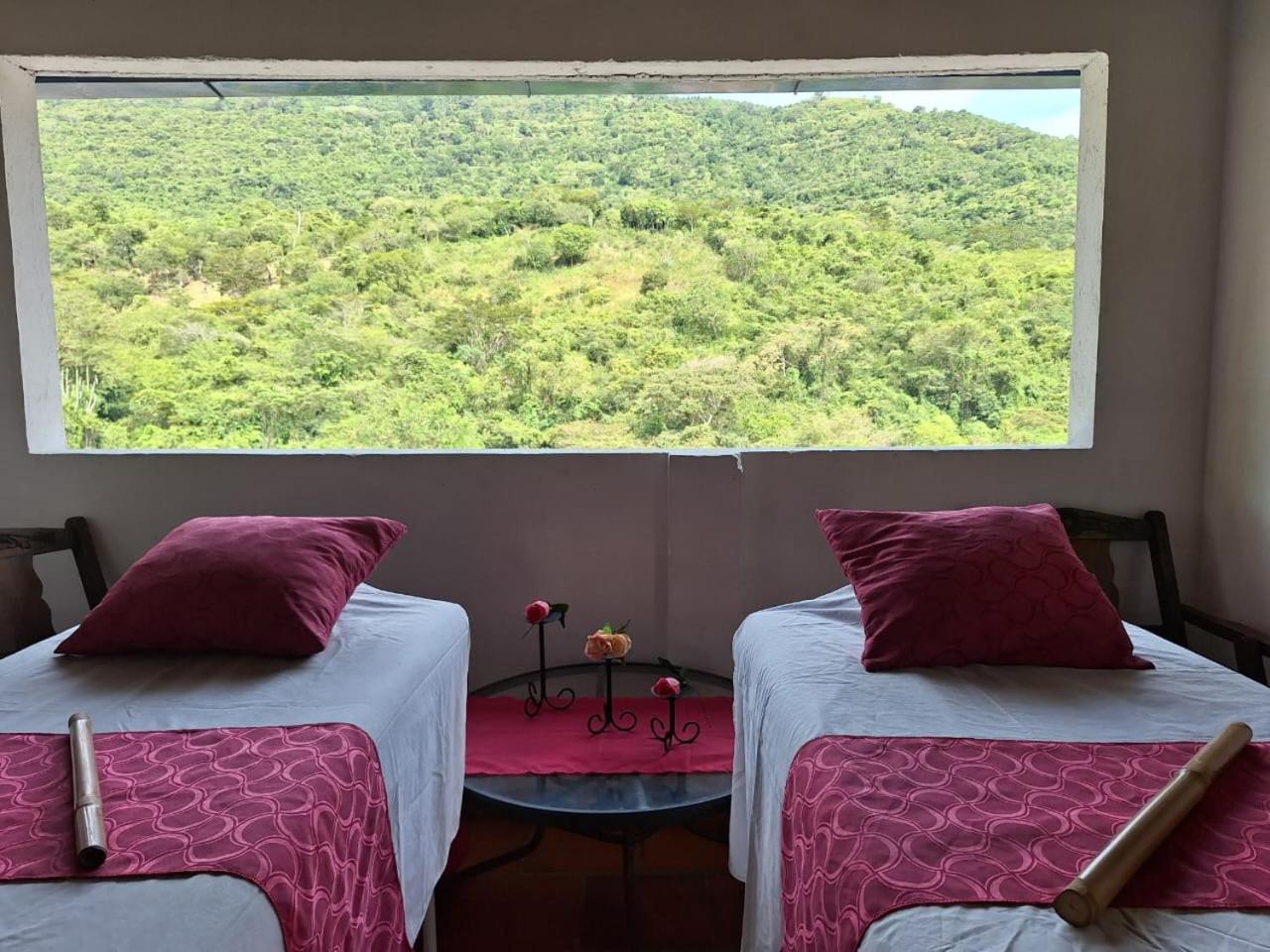 Apartamento Campestre Con Piscina Villa Lucy