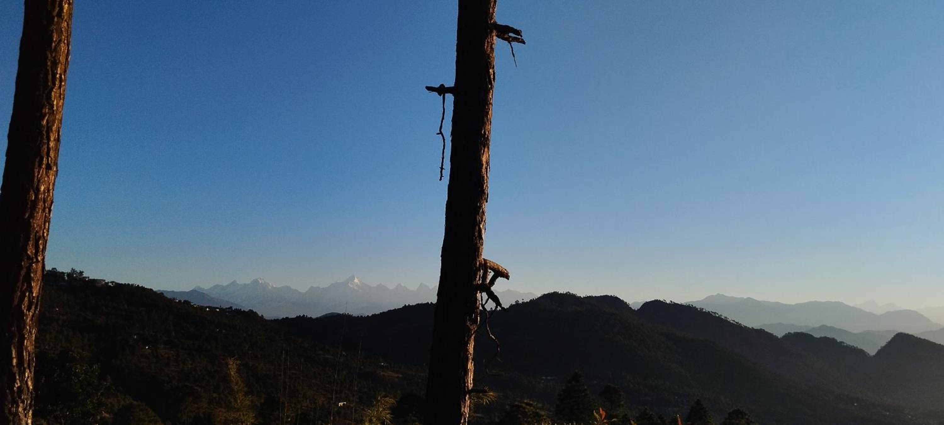 Hill Queen Home stay