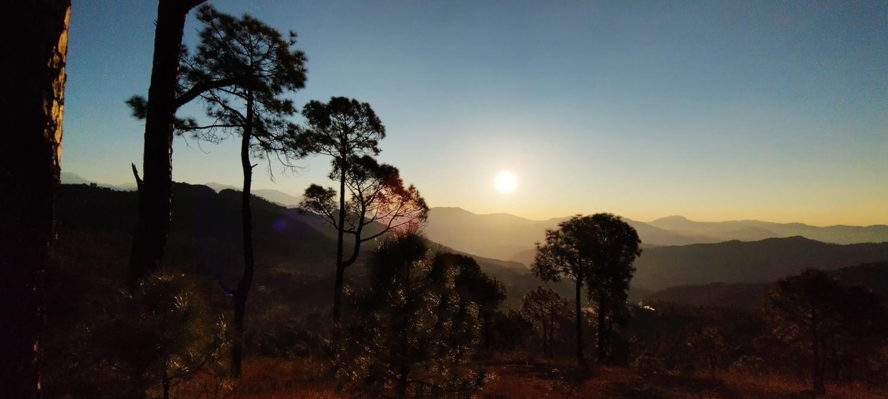 Hill Queen Home stay