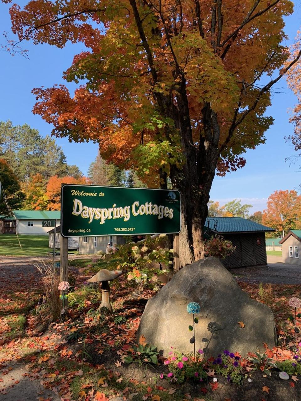 Dayspring Cottages