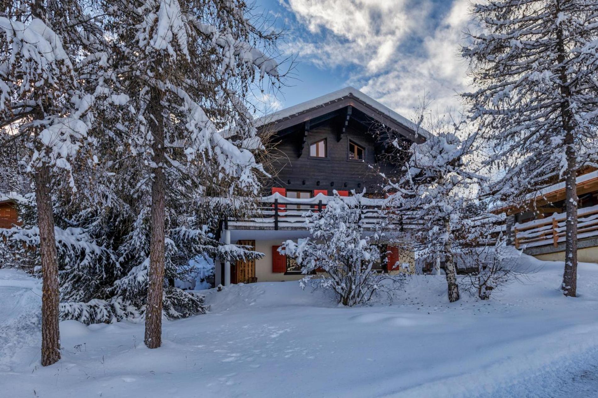 Chalet Les Jeunes - Swiss Ski Chalet with amazing views 8pax