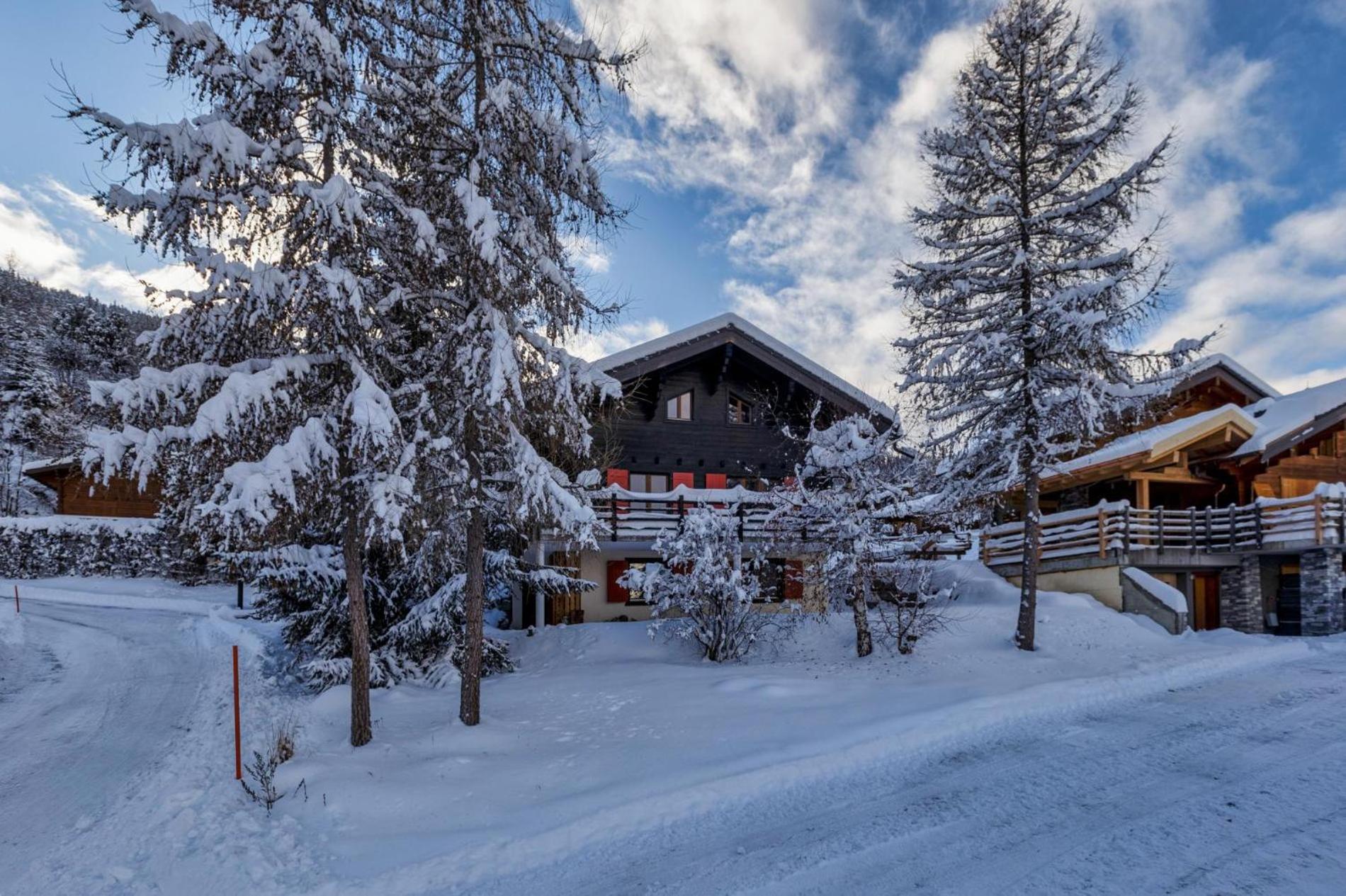Chalet Les Jeunes - Swiss Ski Chalet with amazing views 8pax