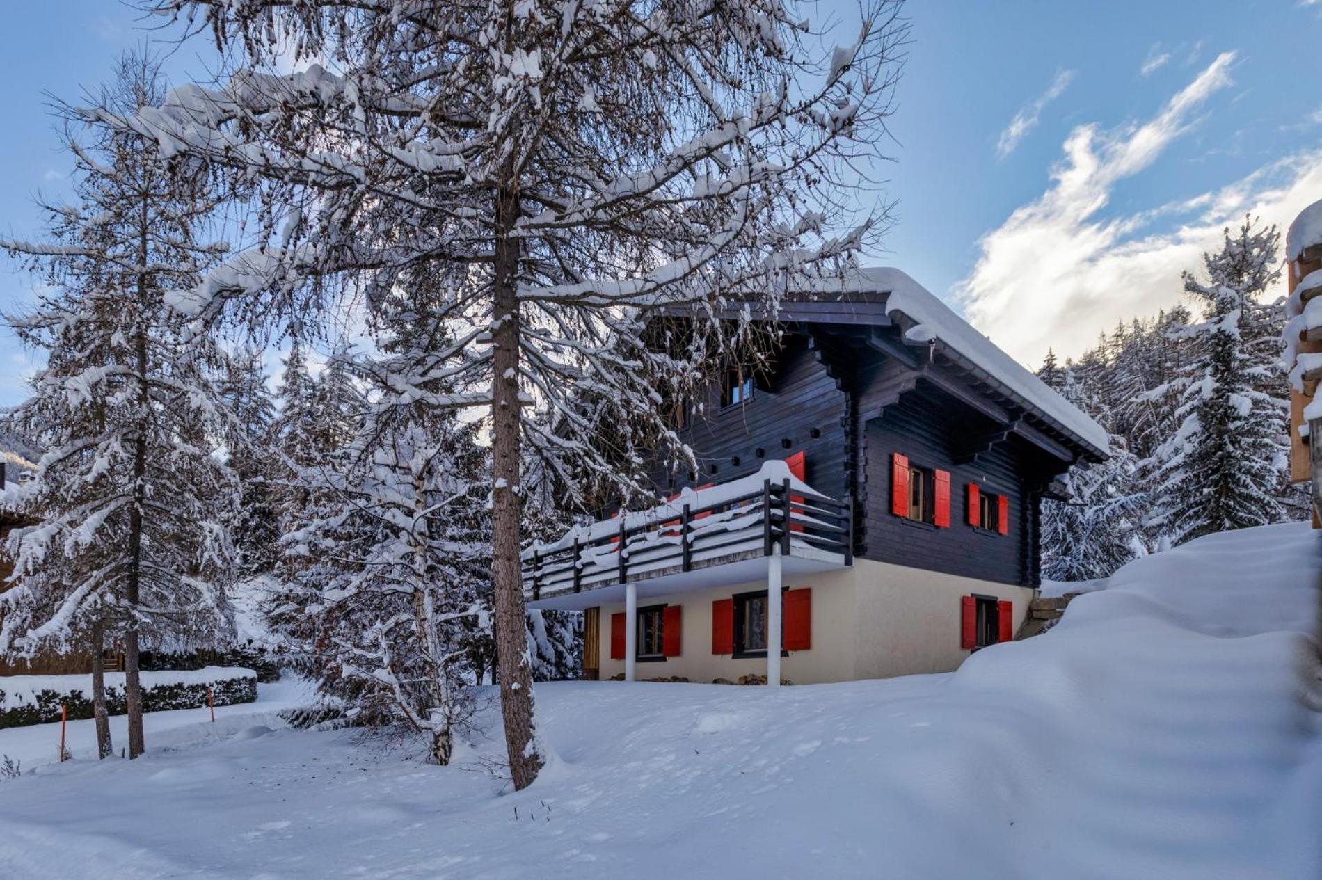 Chalet Les Jeunes - Swiss Ski Chalet with amazing views 8pax