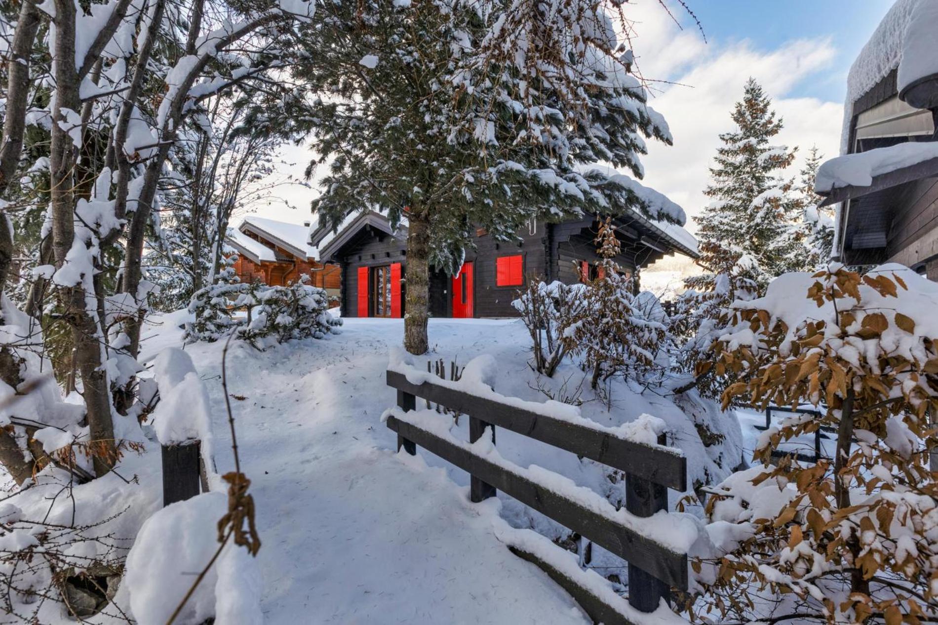 Chalet Les Jeunes - Swiss Ski Chalet with amazing views 8pax