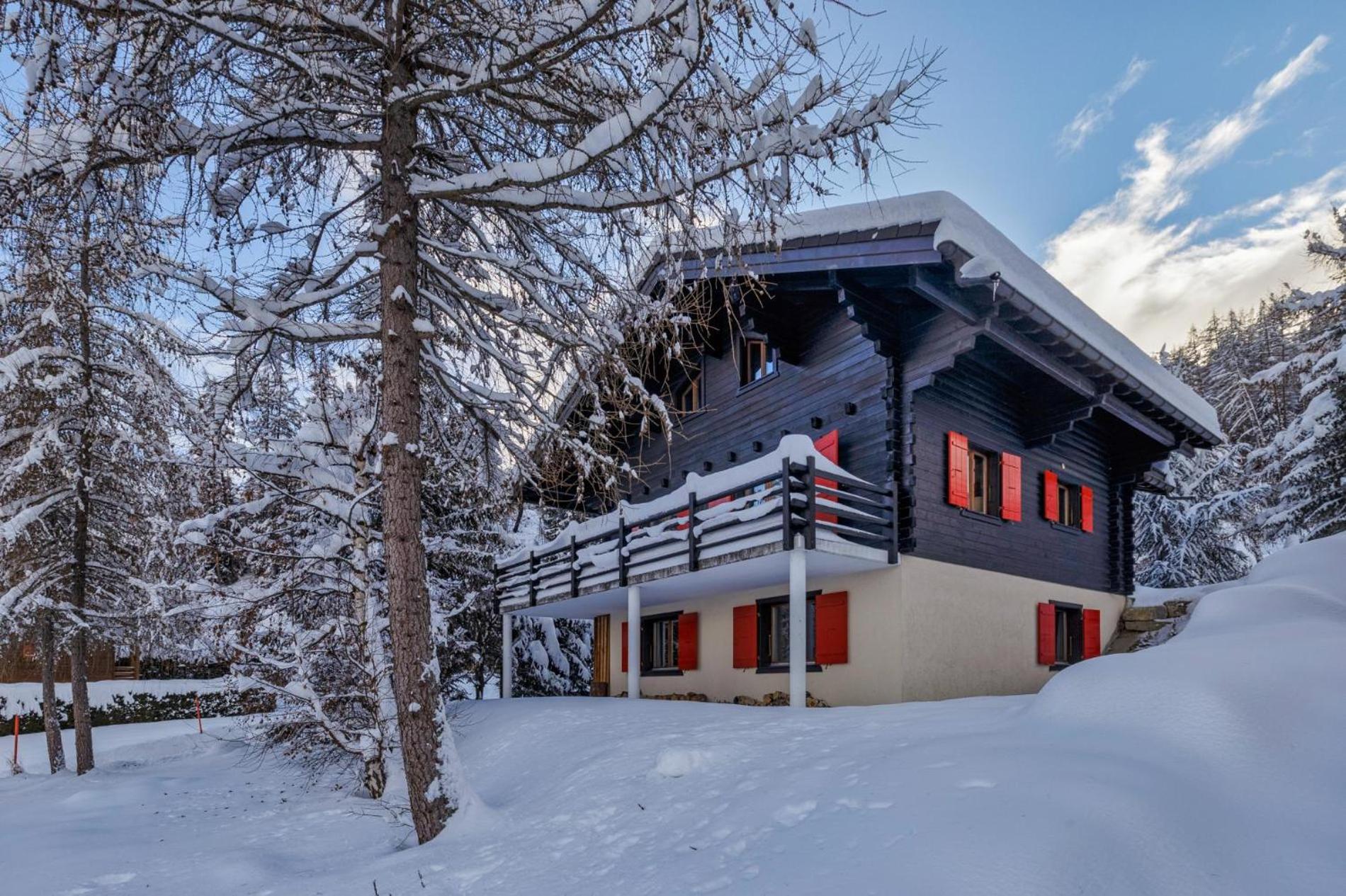 Chalet Les Jeunes - Swiss Ski Chalet with amazing views 8pax