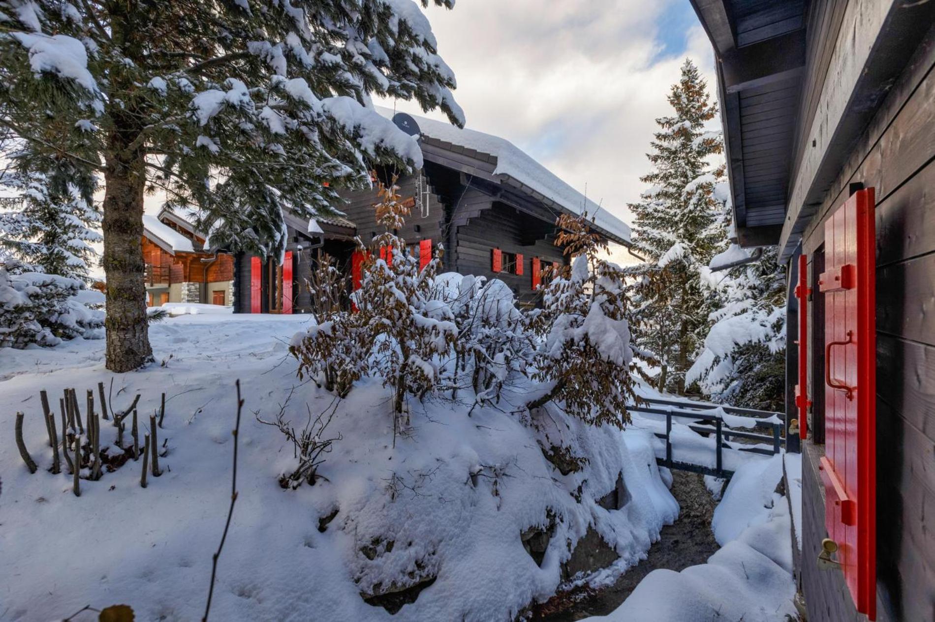 Chalet Les Jeunes - Swiss Ski Chalet with amazing views 8pax