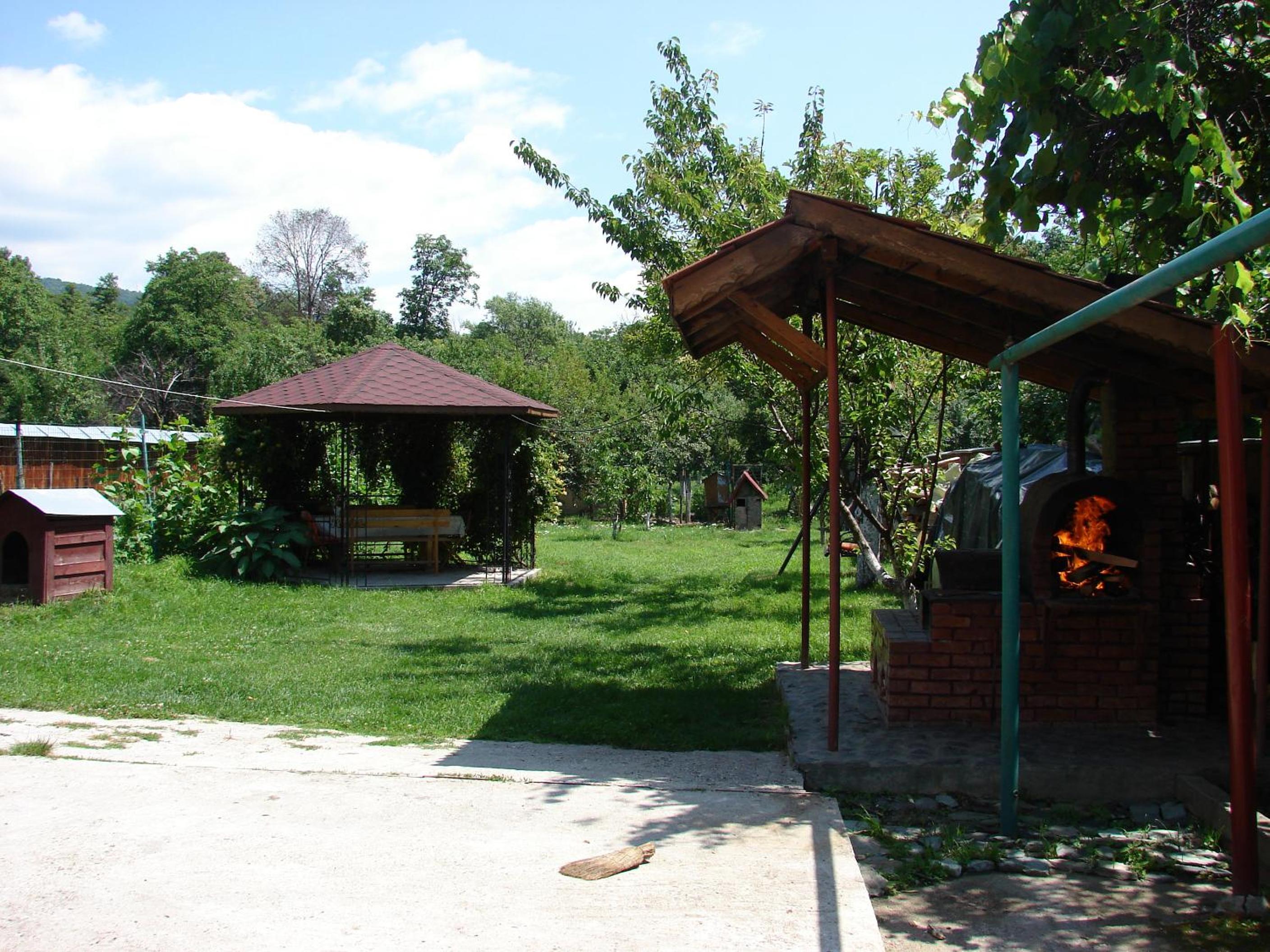 Photo 21