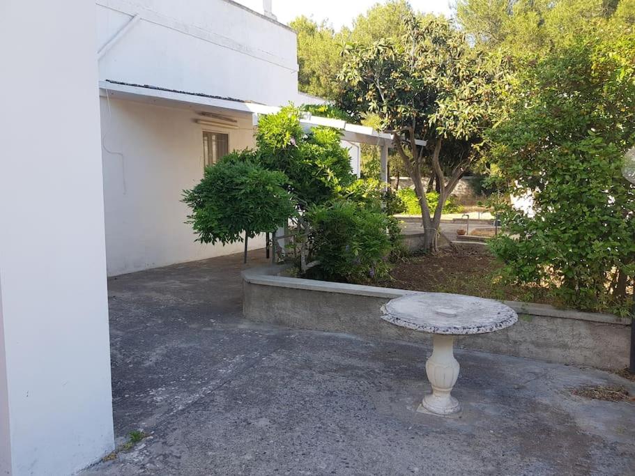 Casa Vacanze Salento - Villa Diso view 4
