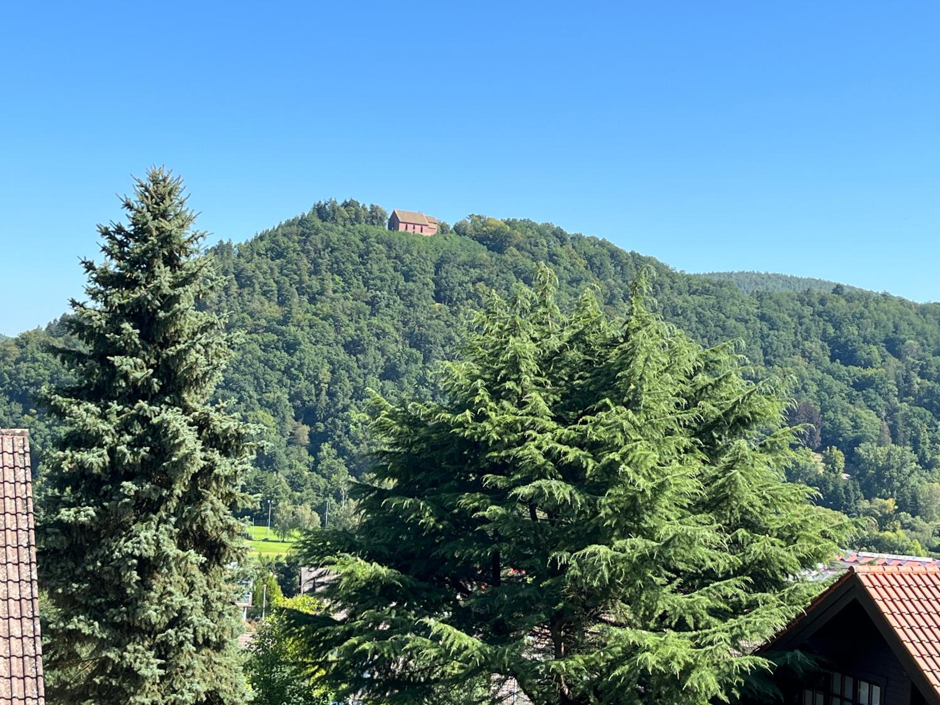 Weitblick 1