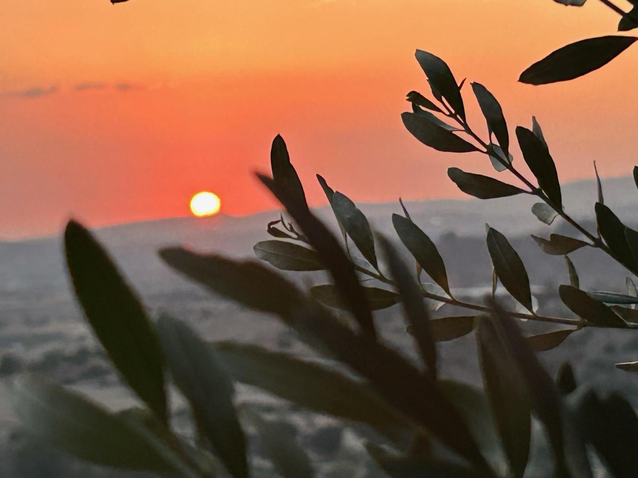 Endless Sunset