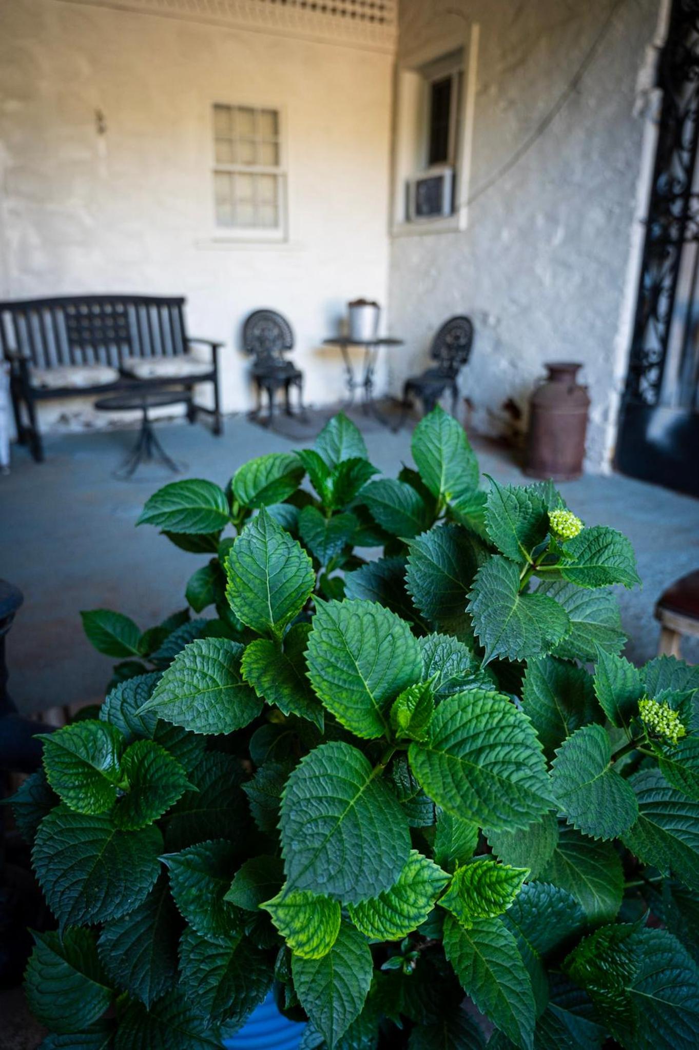 Gunn House Hotel