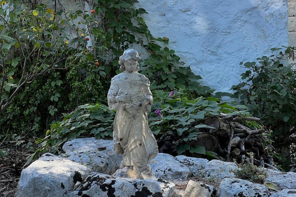 Photo 26