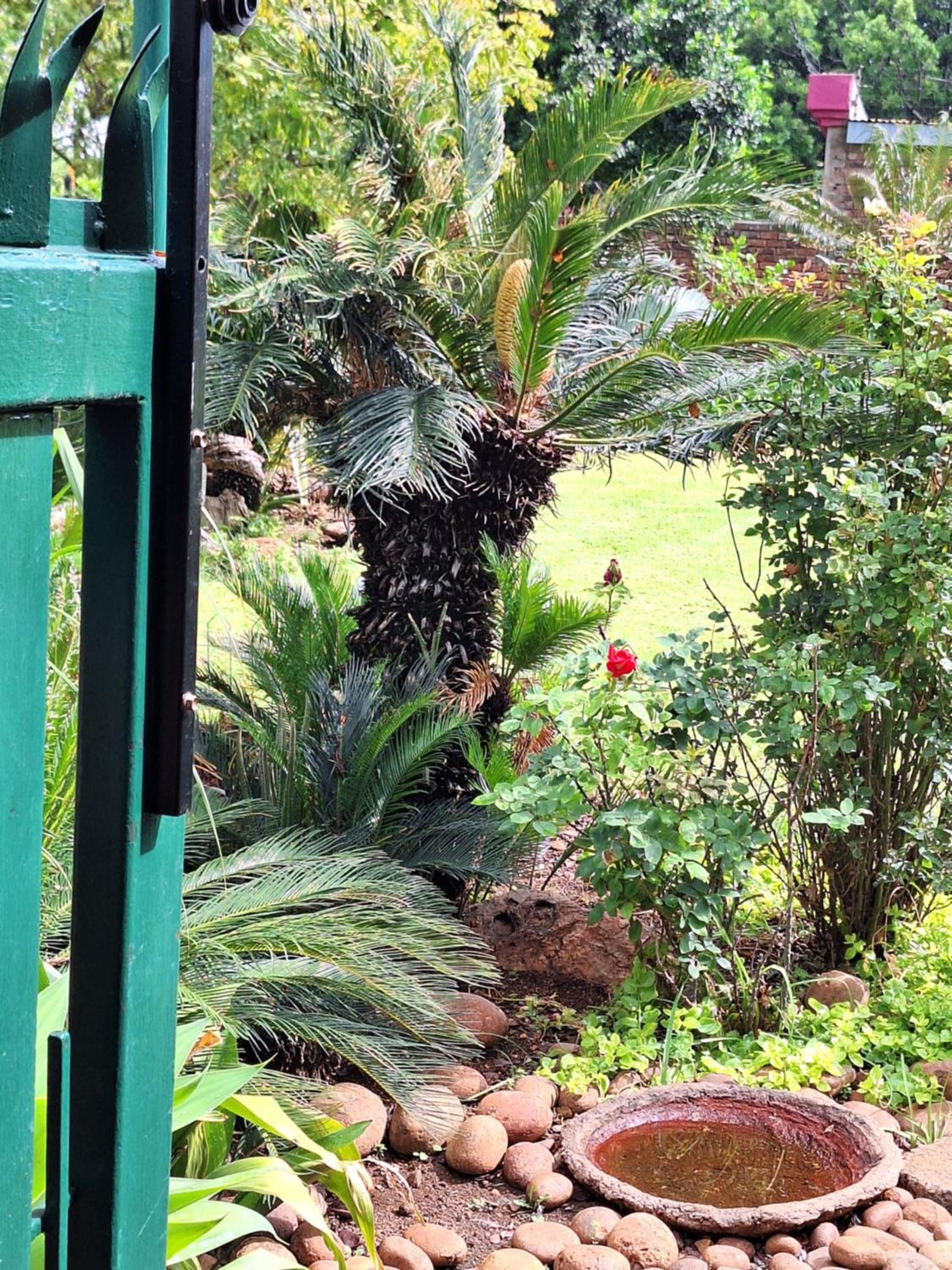 Emani Guest House
