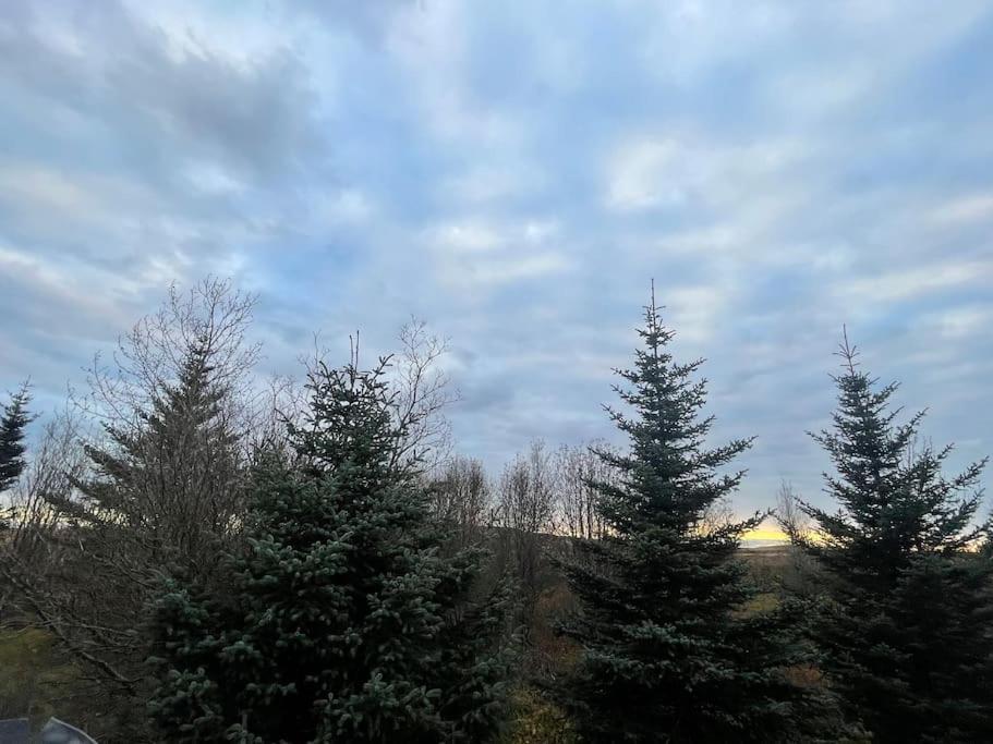 Golden Circle Cozy Retreat view 4