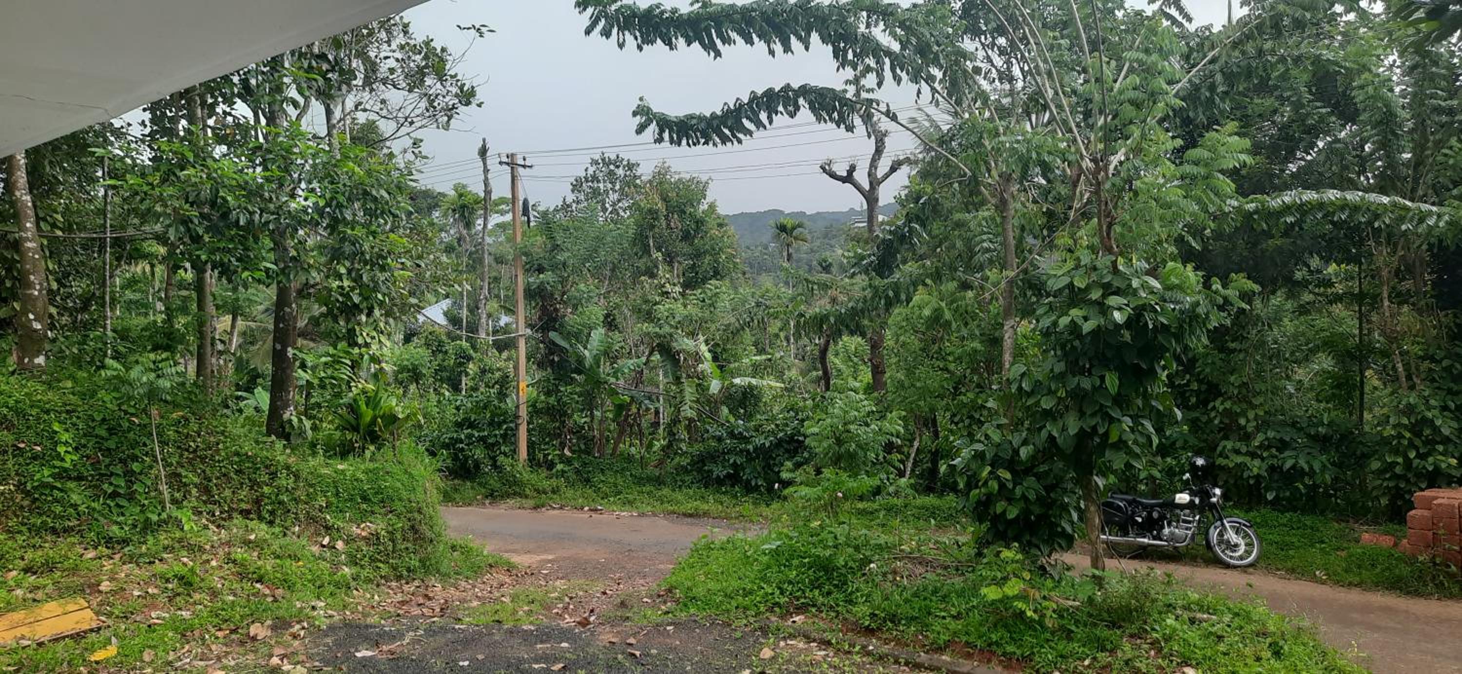 MISTY MOUNT VILLA MANANTHAVADY