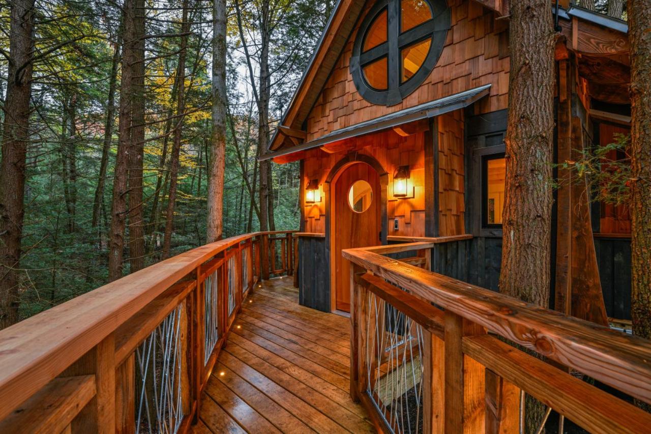 Enchanted Evergreen view 5