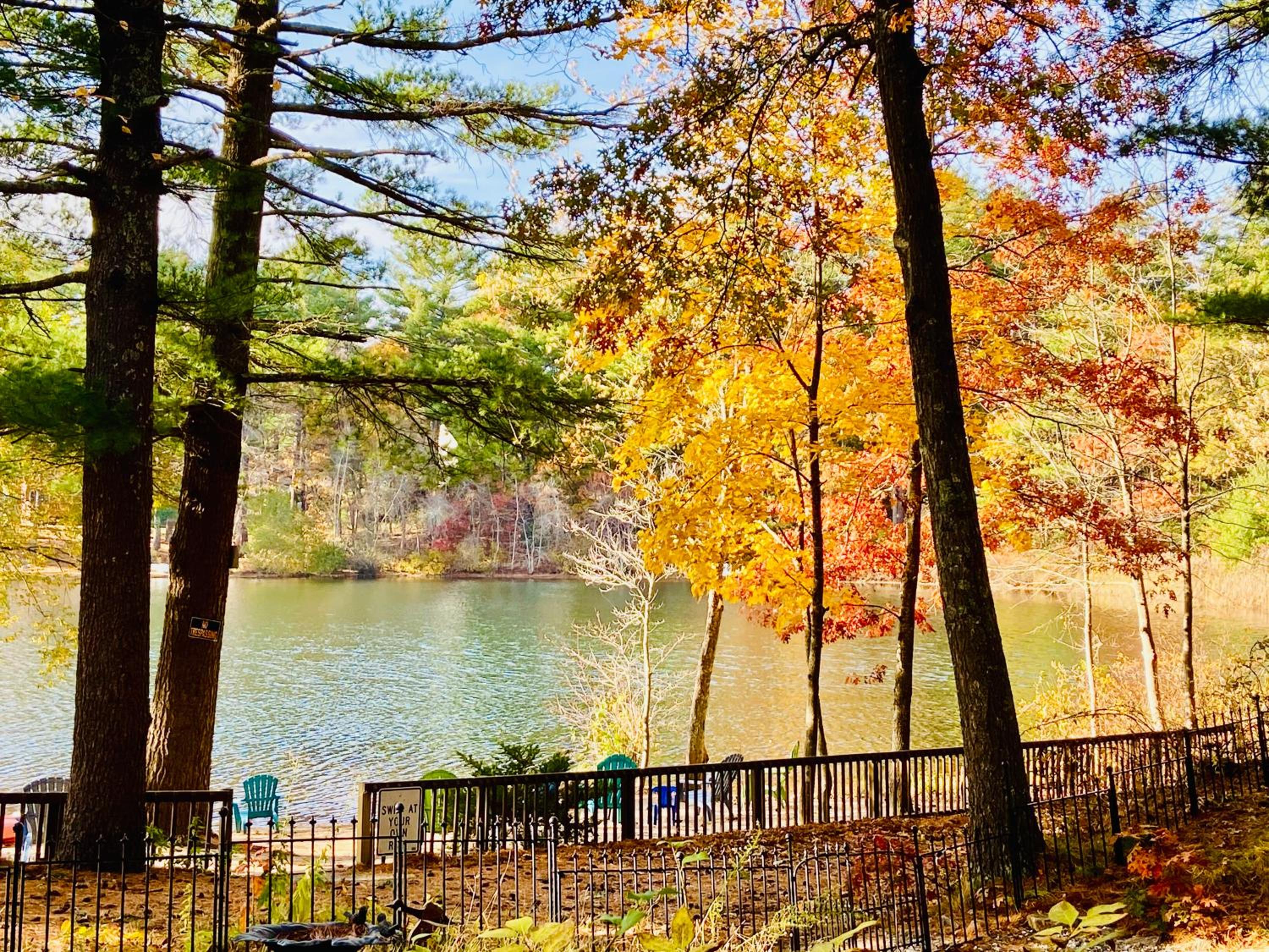 Clear Pond Getaway view 5