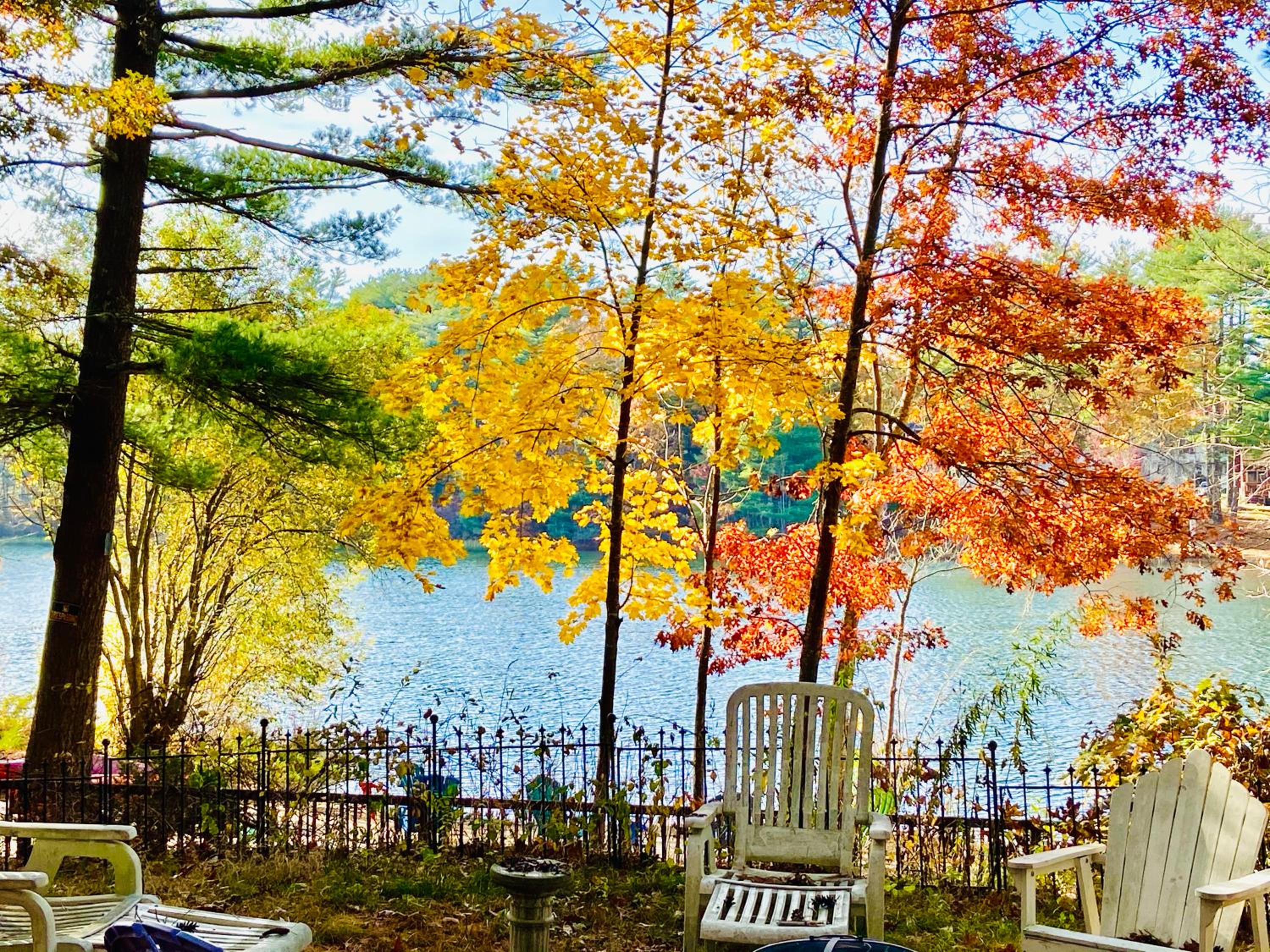 Clear Pond Getaway view 4