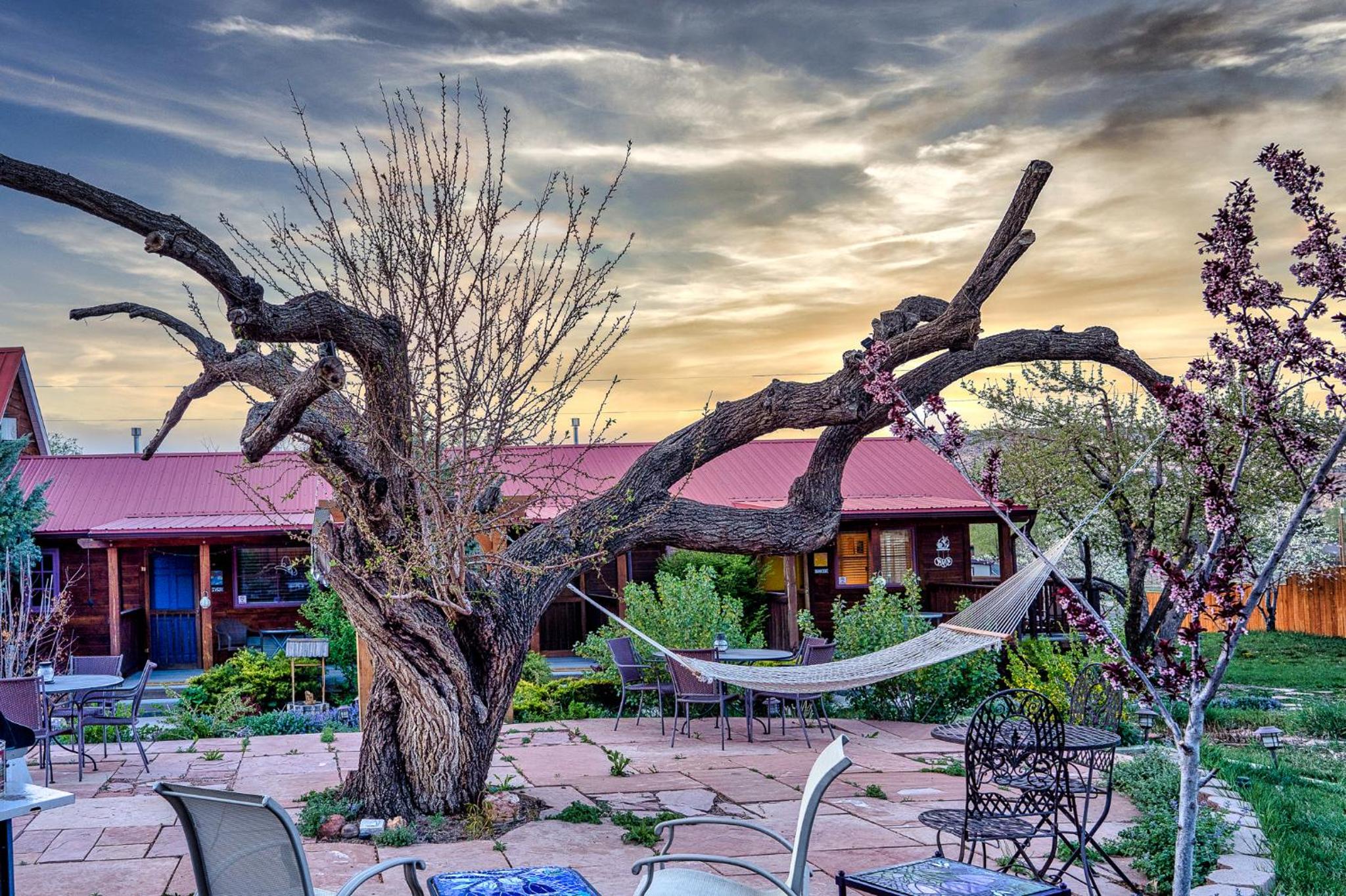 The Loubird Inn