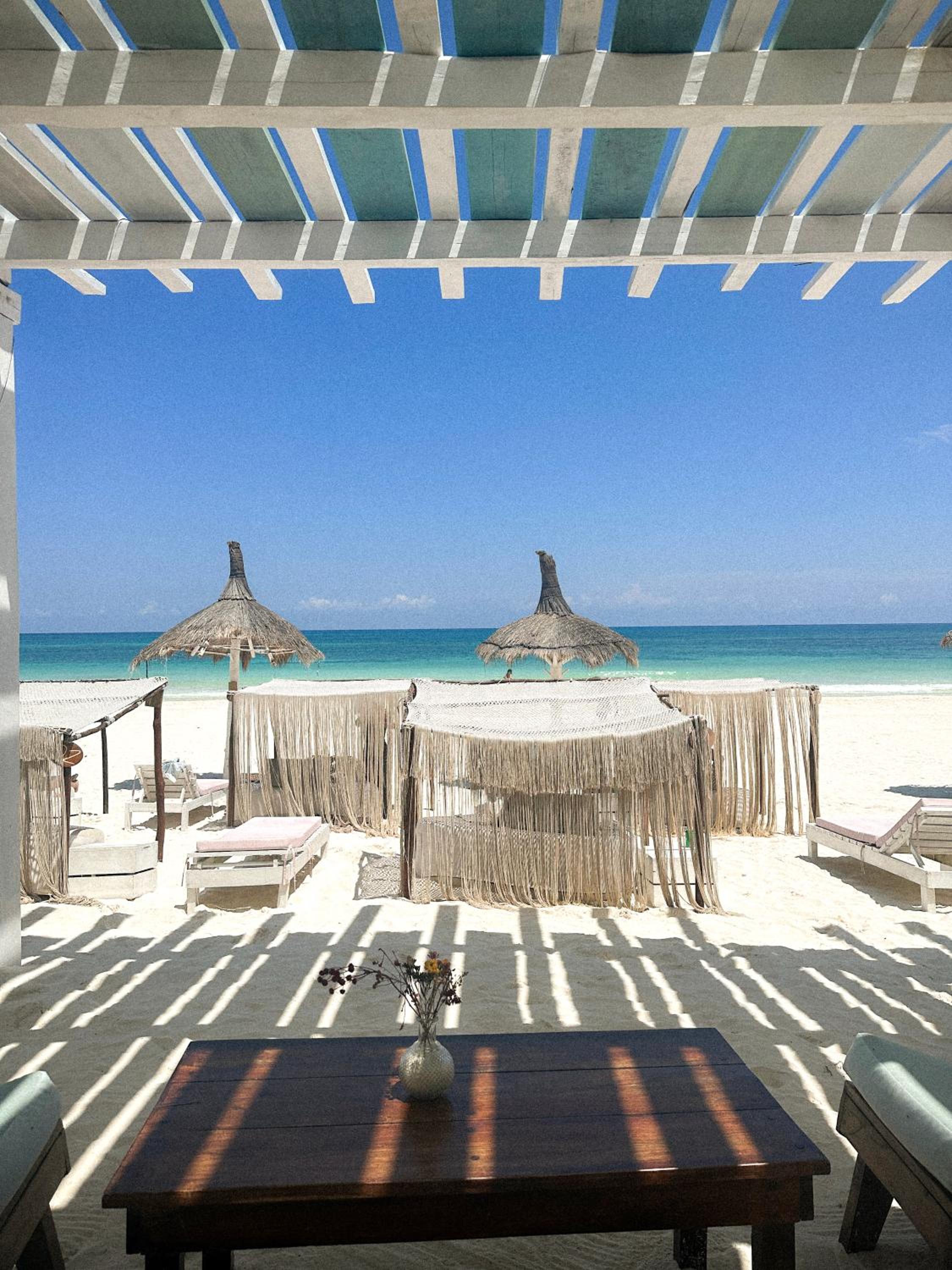 Coco Unlimited - Property Image 92