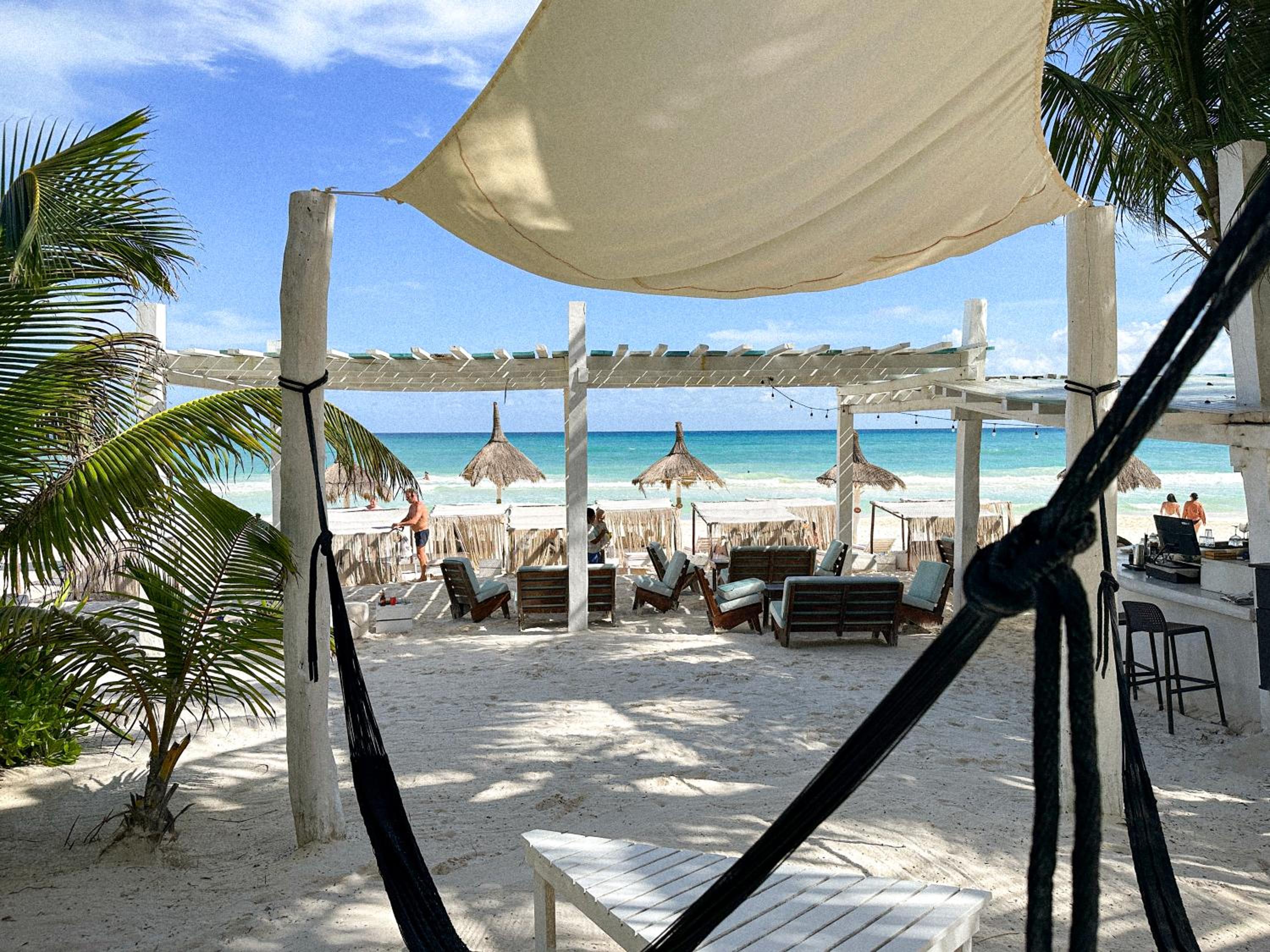 Coco Unlimited - Property Image 91