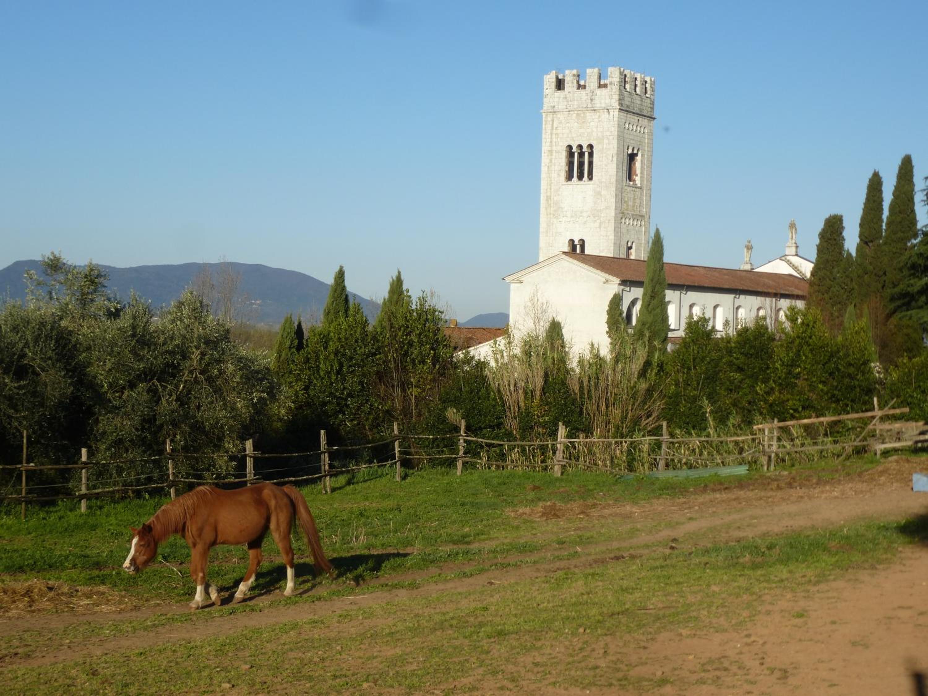 Casa Marcè a "Sonno" view 4