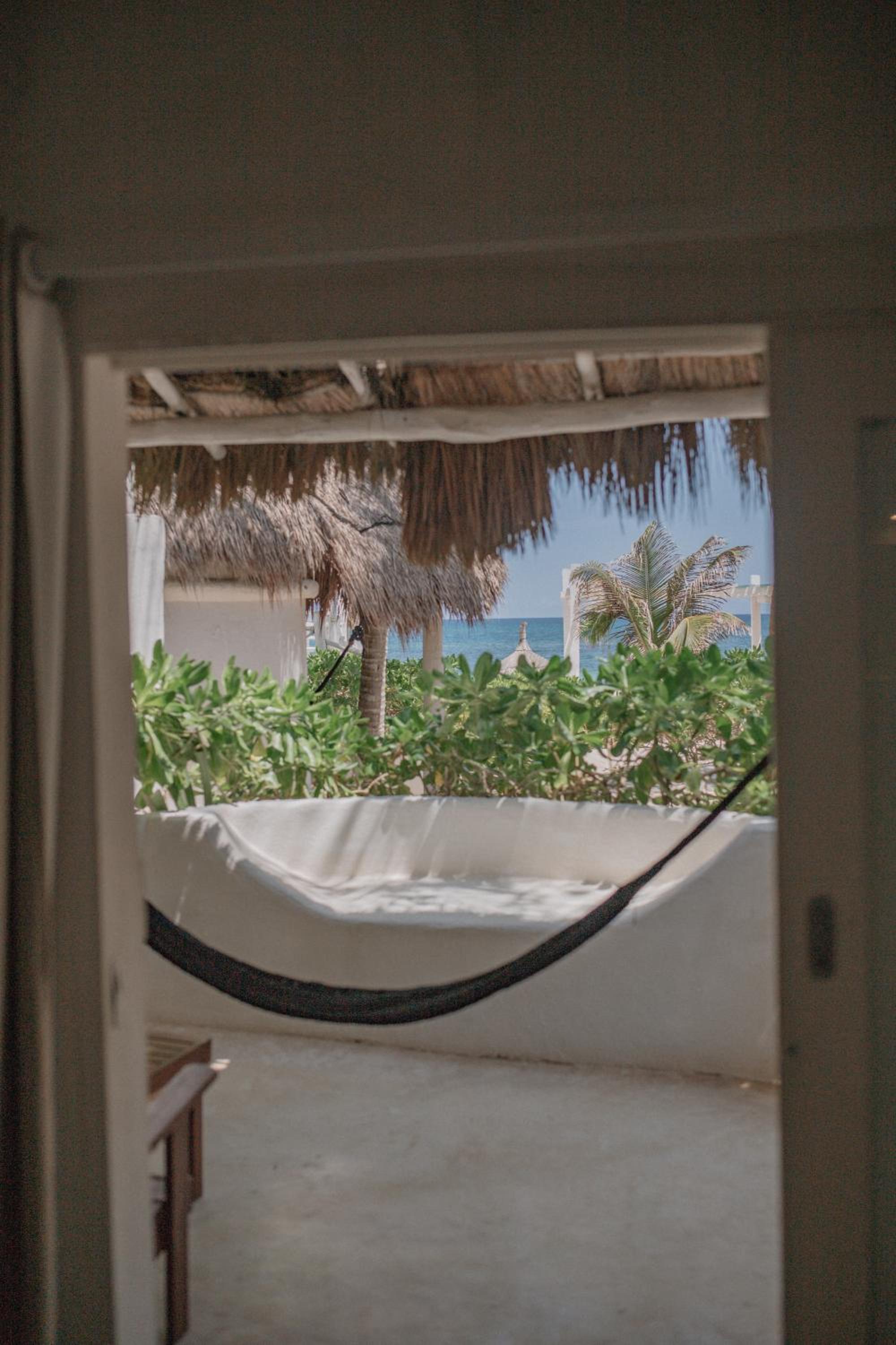 Coco Unlimited - Property Image 104