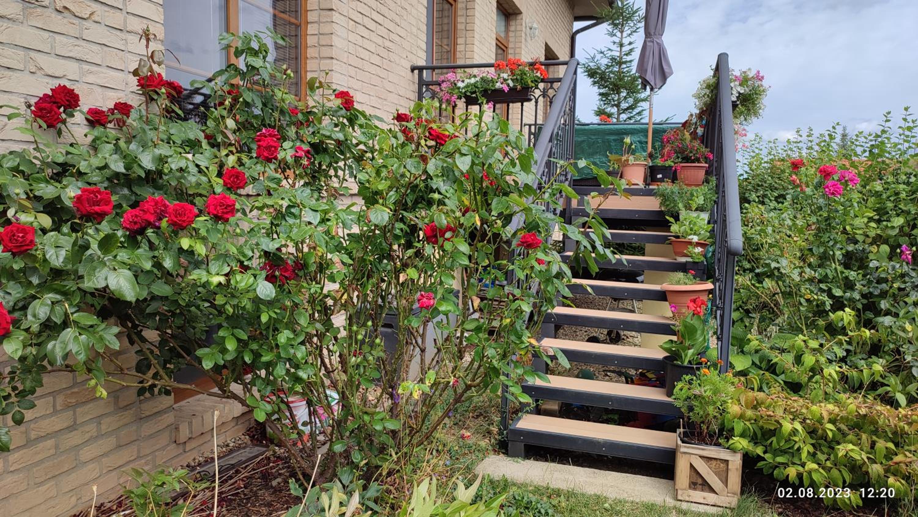 Villa Homestay Nad Helmrovkou