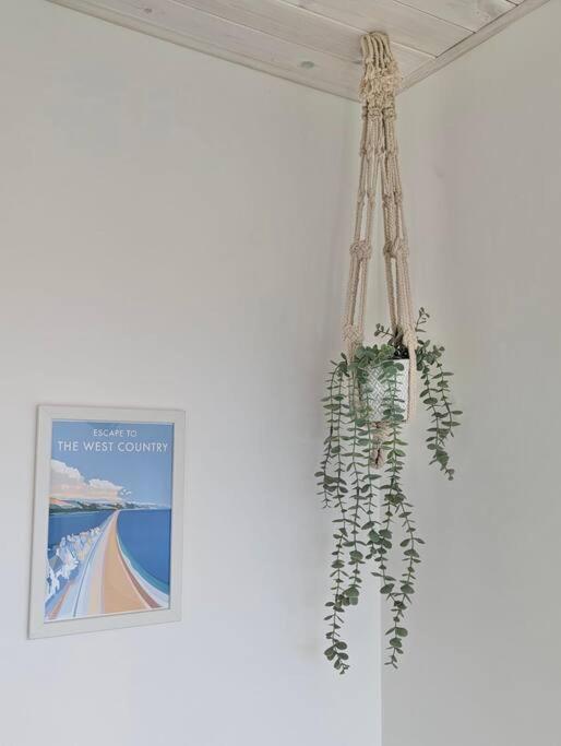 Little Haven Too, one bed chalet in Dartmouth view 5
