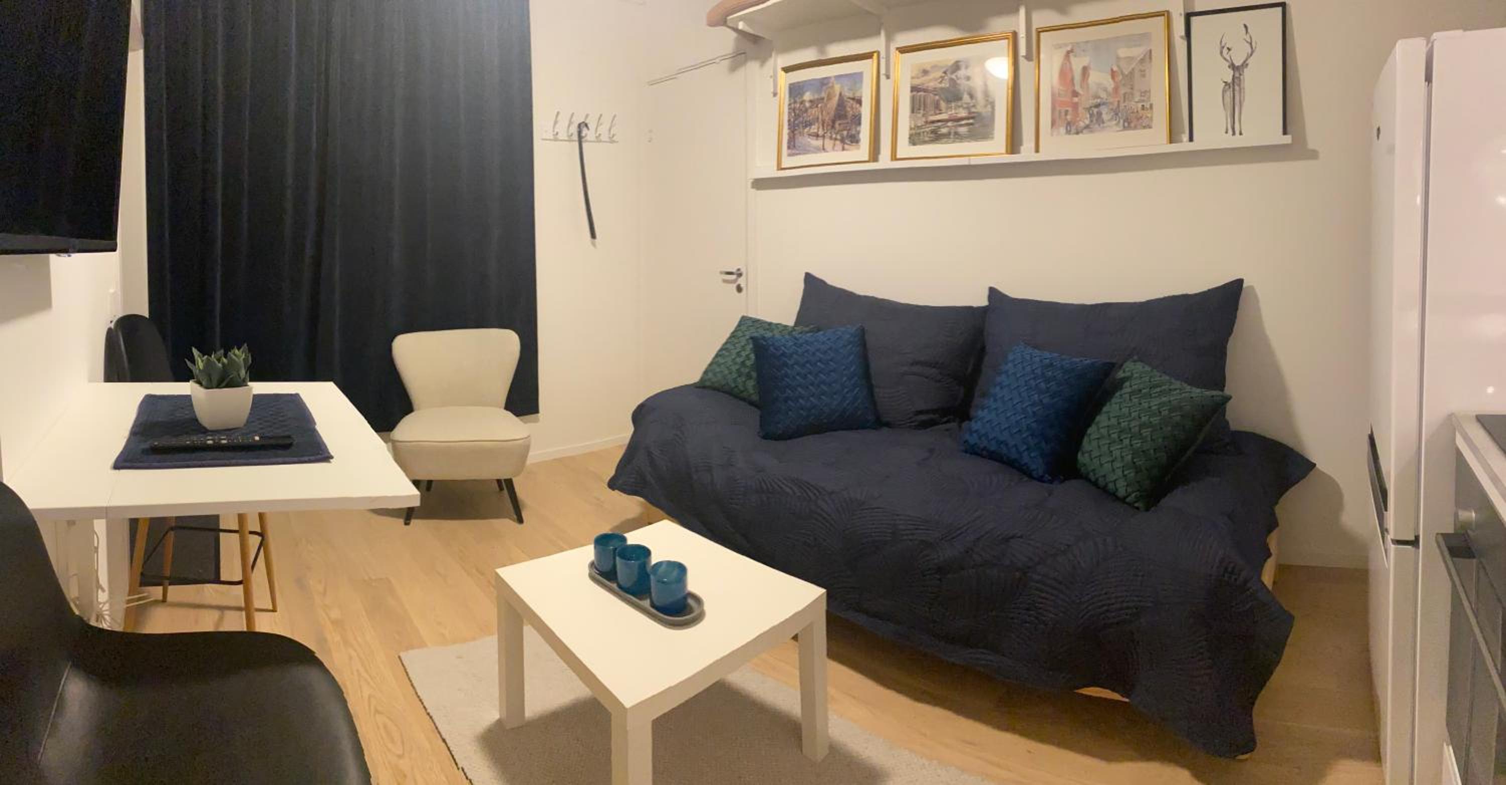Nordheim Studio Apartment view 5