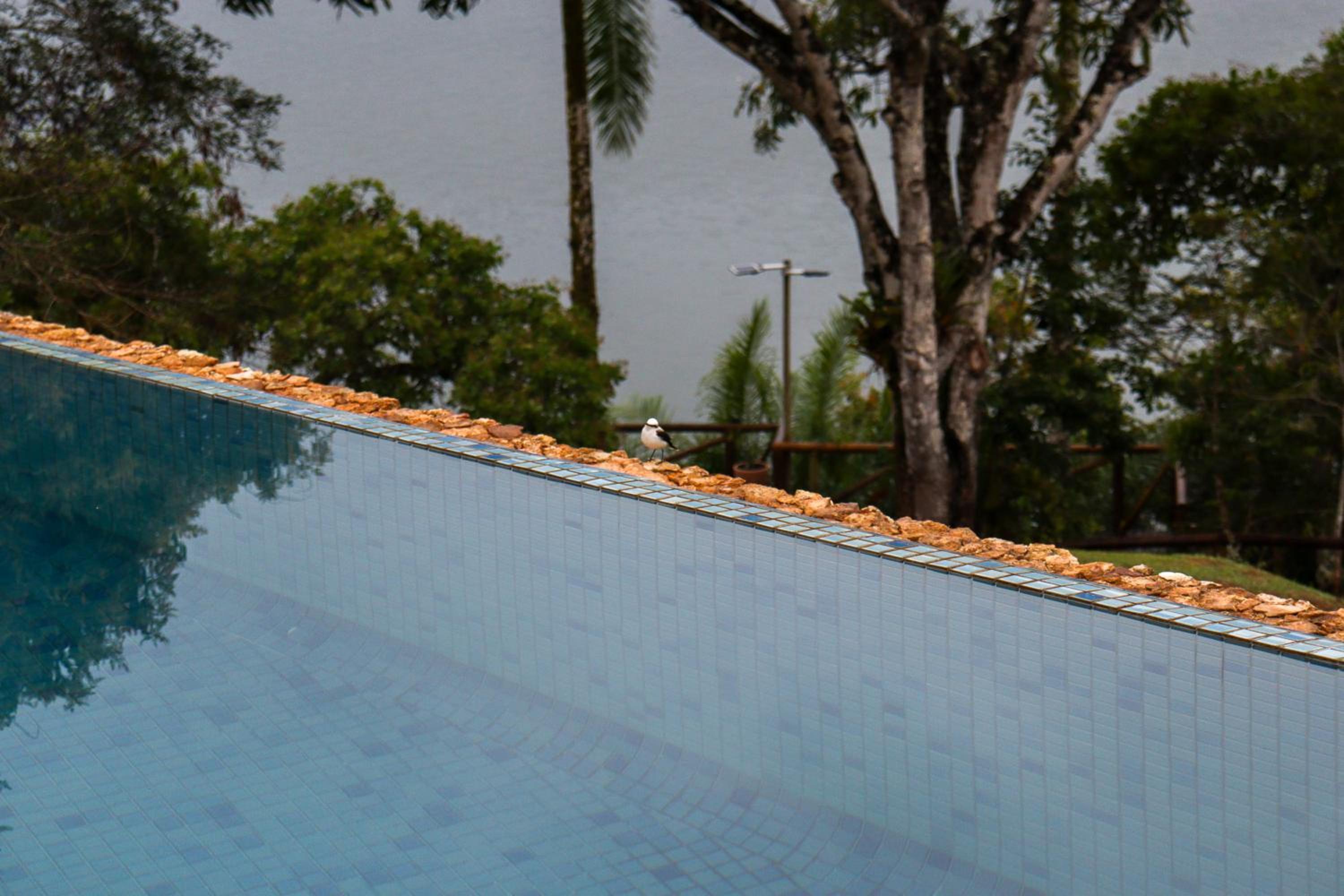 Ilha privativa - Rio Paraguaçu
