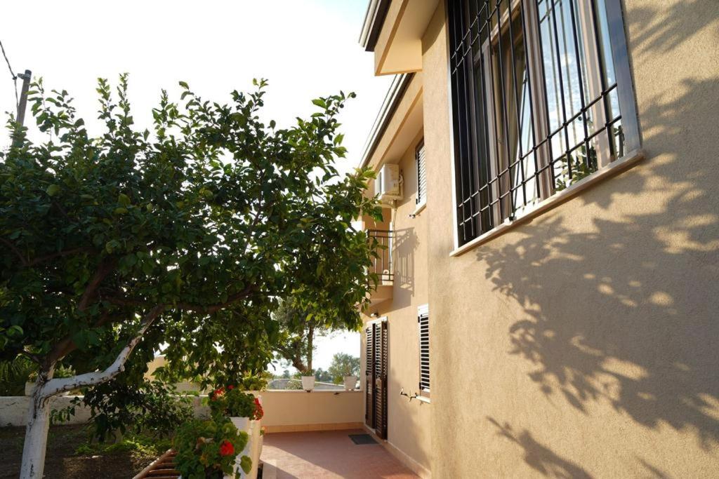 Casa Consiglia