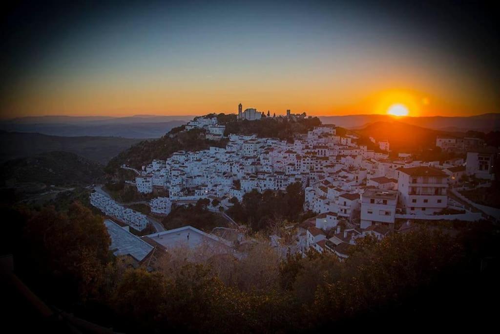 Lovely apartment in Casares Beach