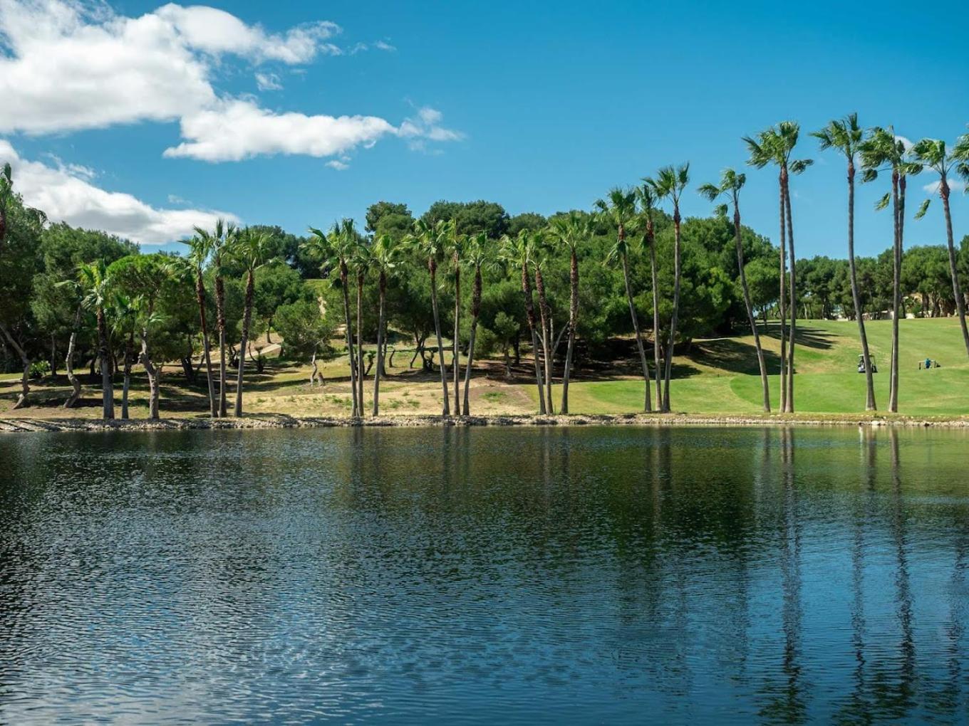 Luxury apartment with sea view Puerto Torrevieja