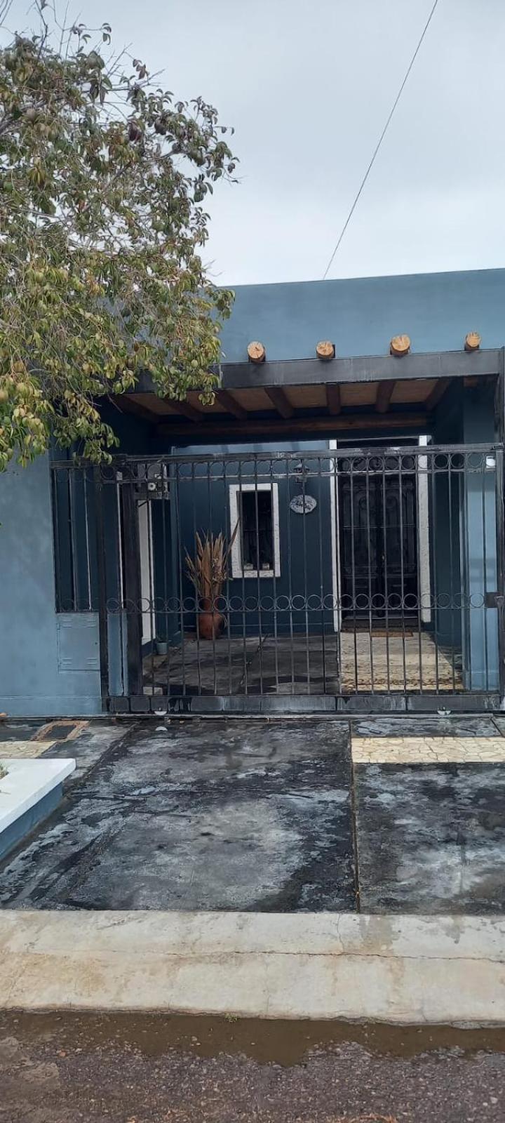 Aguará ibá
