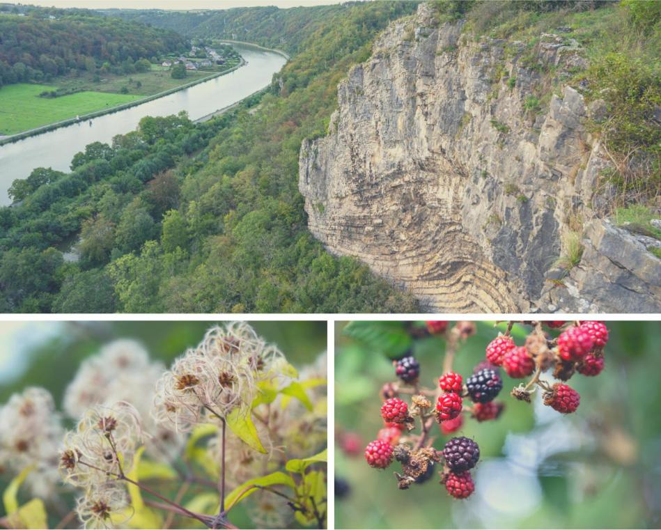 Laissez-vous enchanter par la Vallée de la Meuse