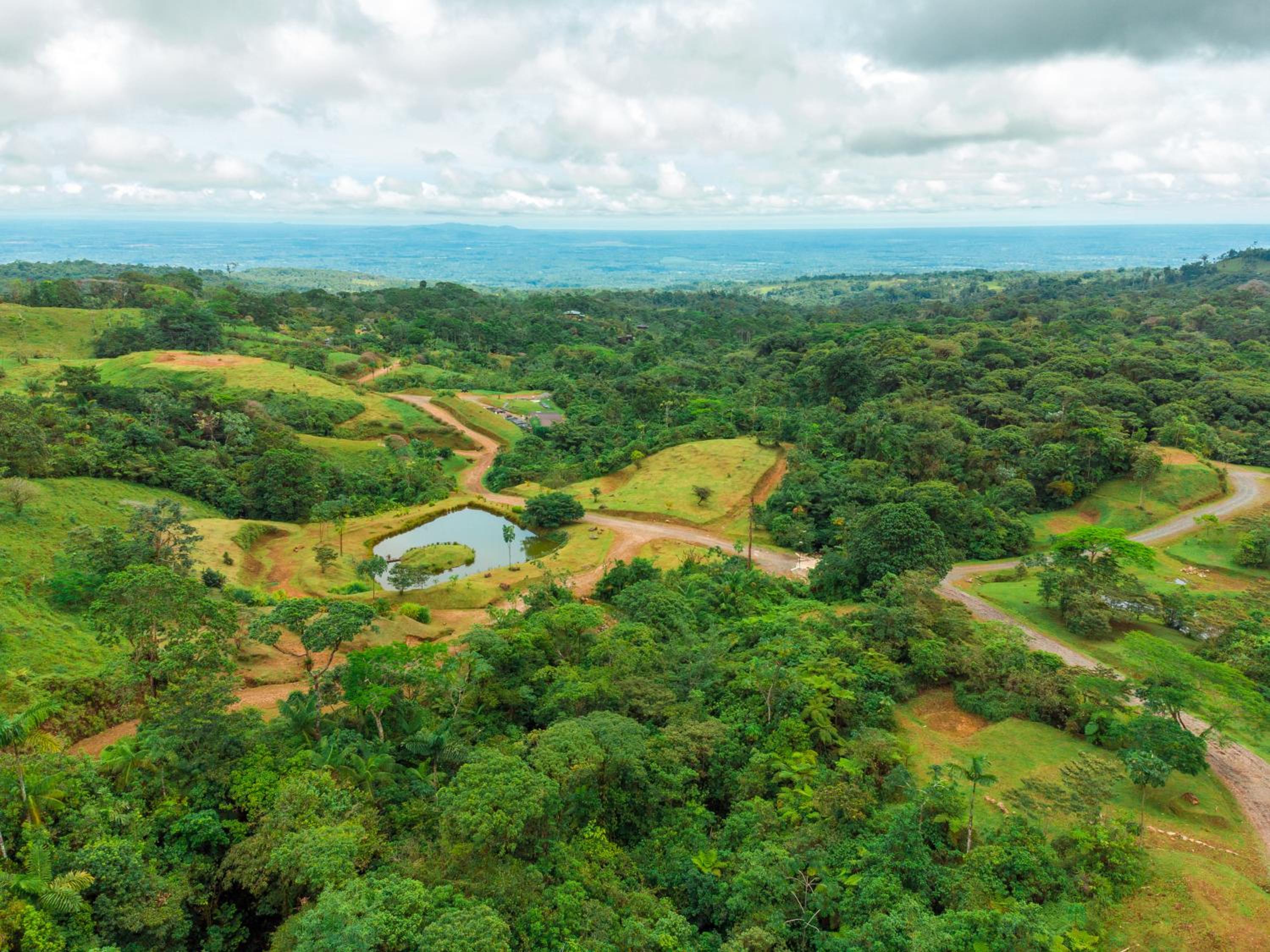 Villa Morpho - Luxury Jungle House at Ecolirios Green Community