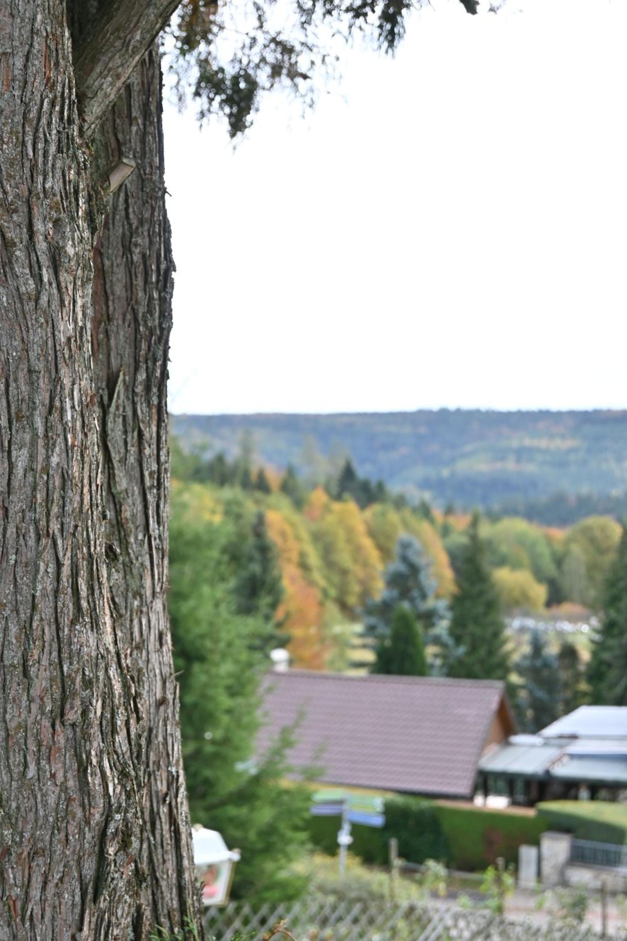 Hotel Talblick