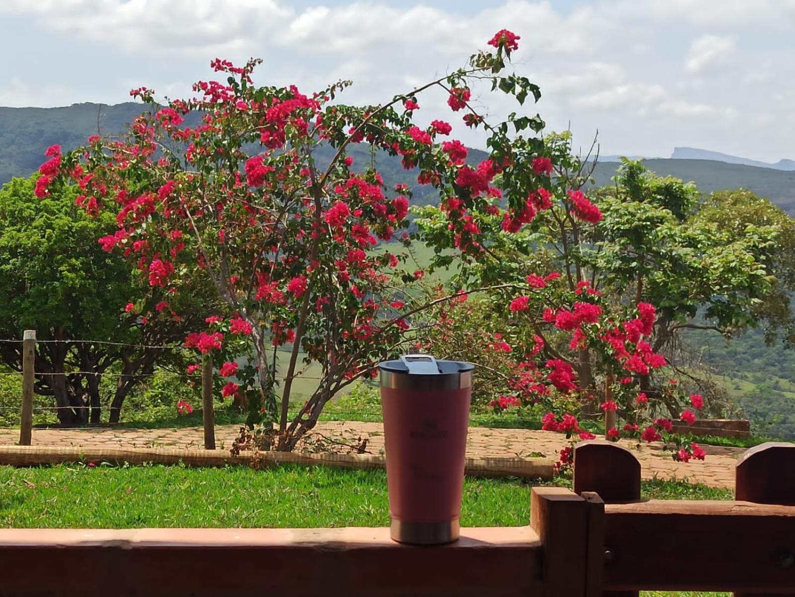Sítio, Casa grande, bem espaçosa, em Itambe do Mato Dentro, Cabeça de Boi