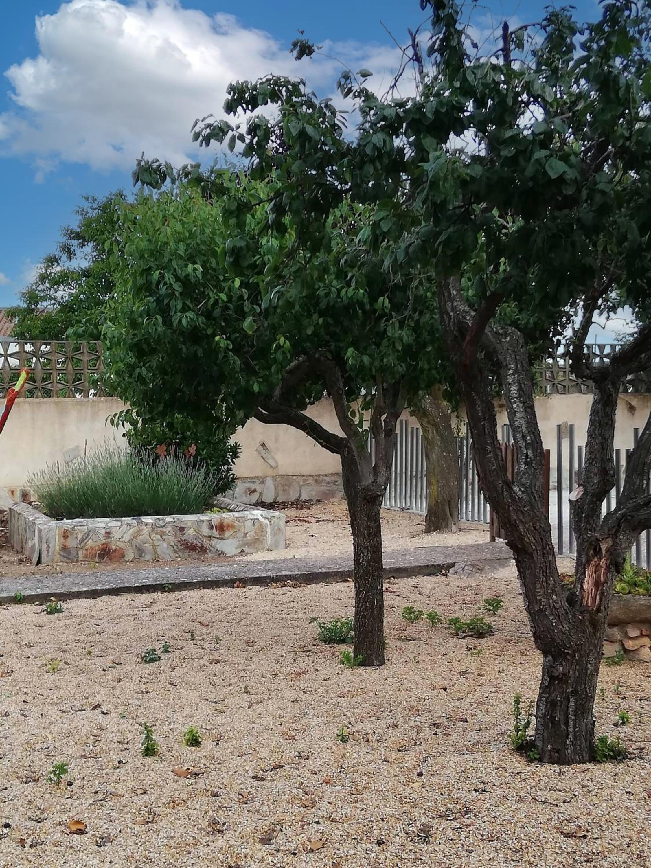 Charming Casa Rural El Pedregal