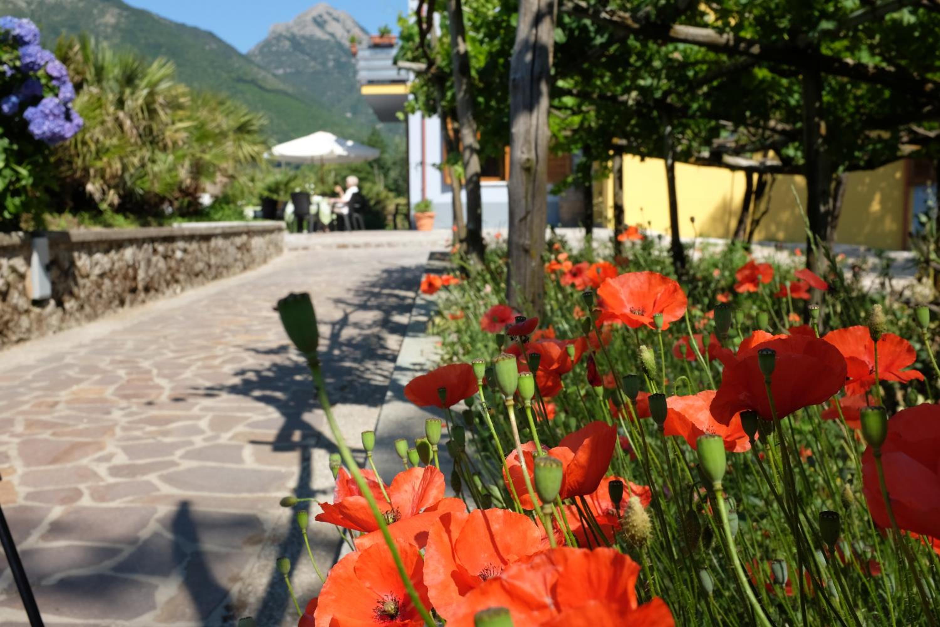 Villa Elisa