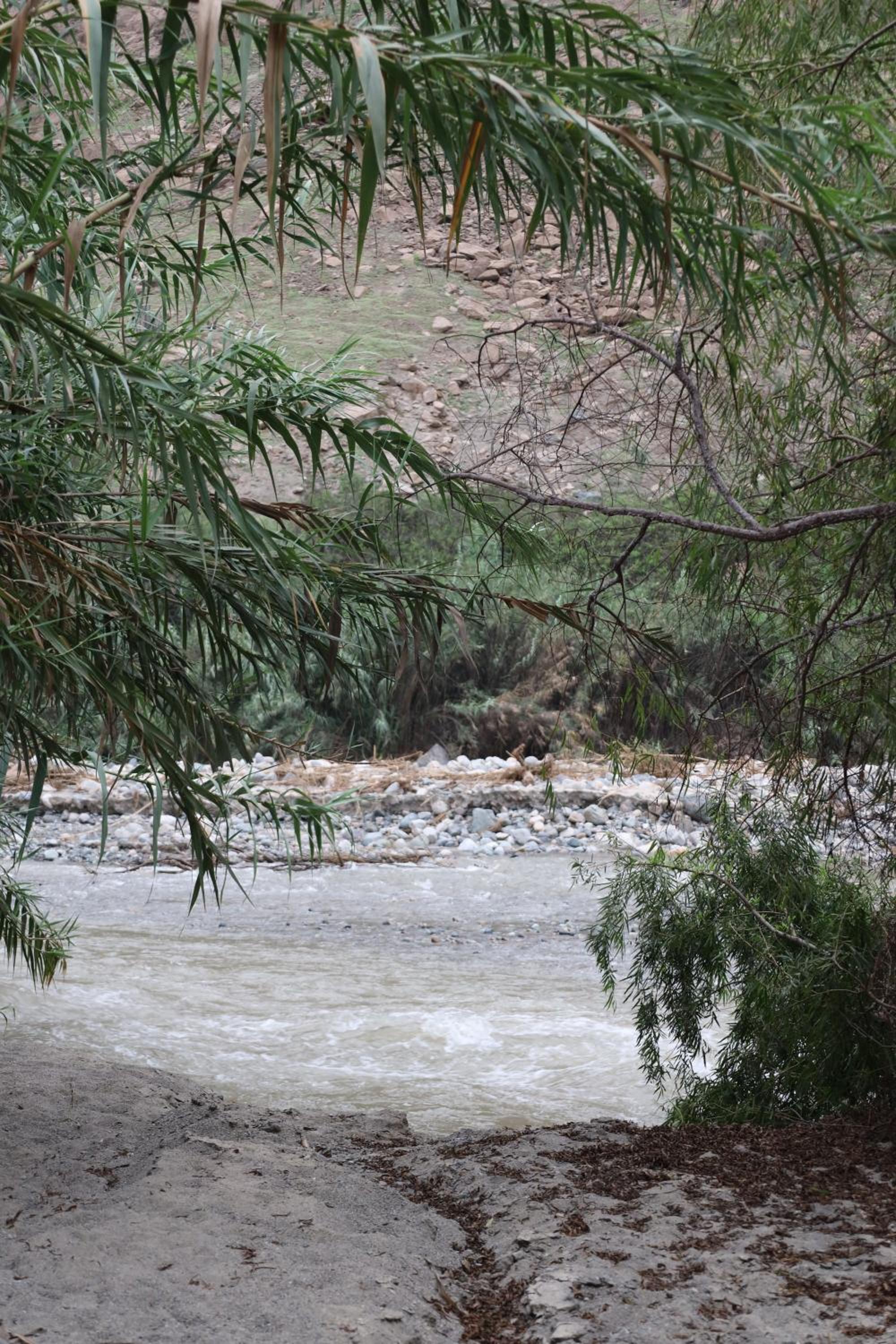 Photo 28