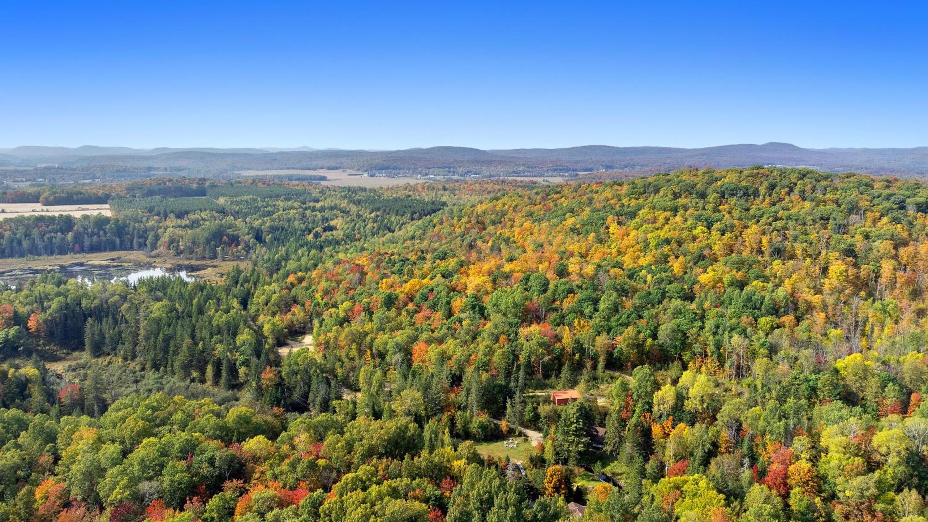 Chalet spacieux pour escapade en nature