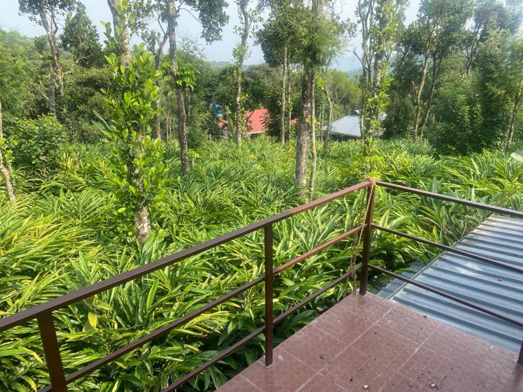 Heavenly Stay view 5