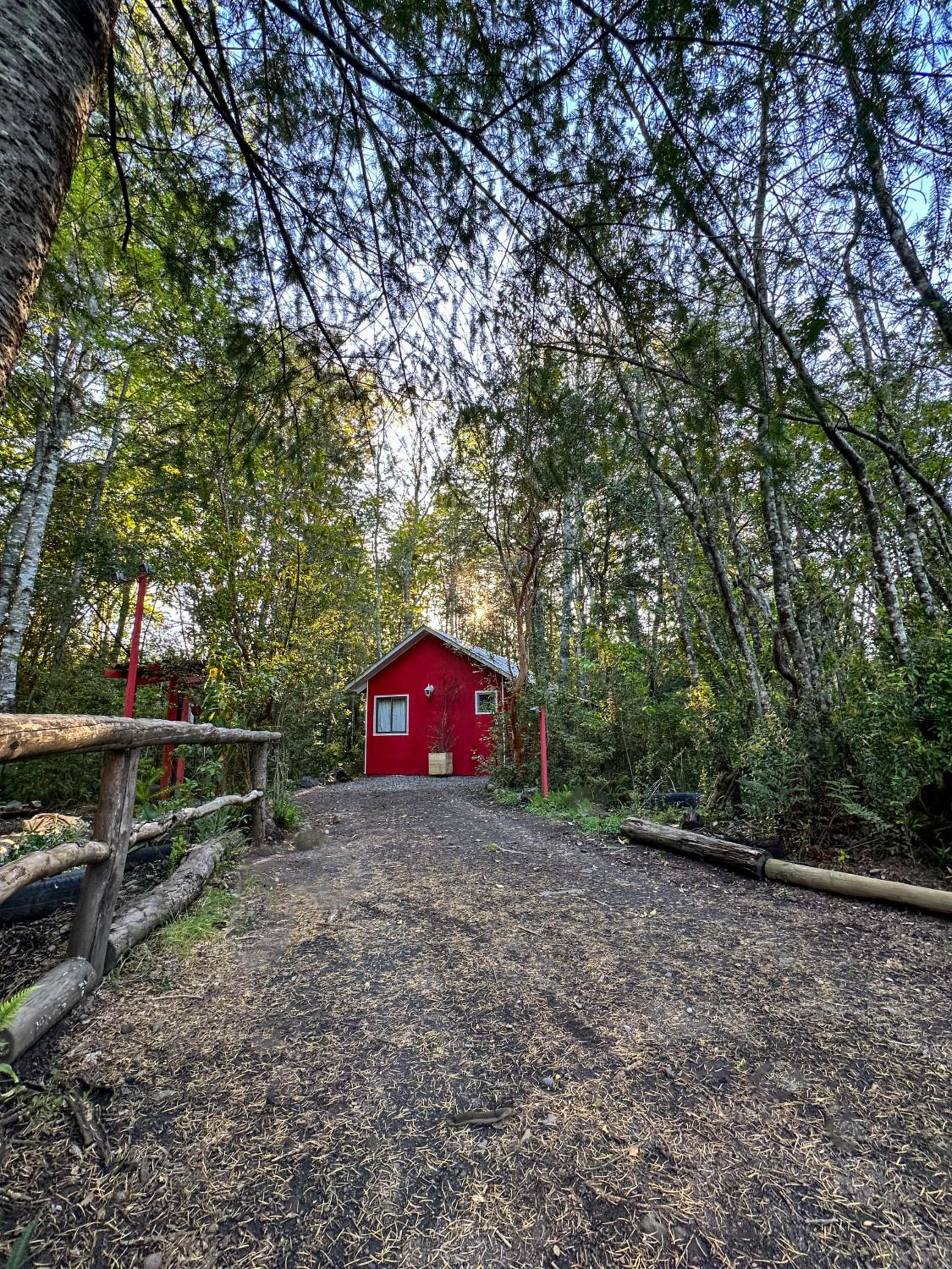 Molco Cabins Bosque