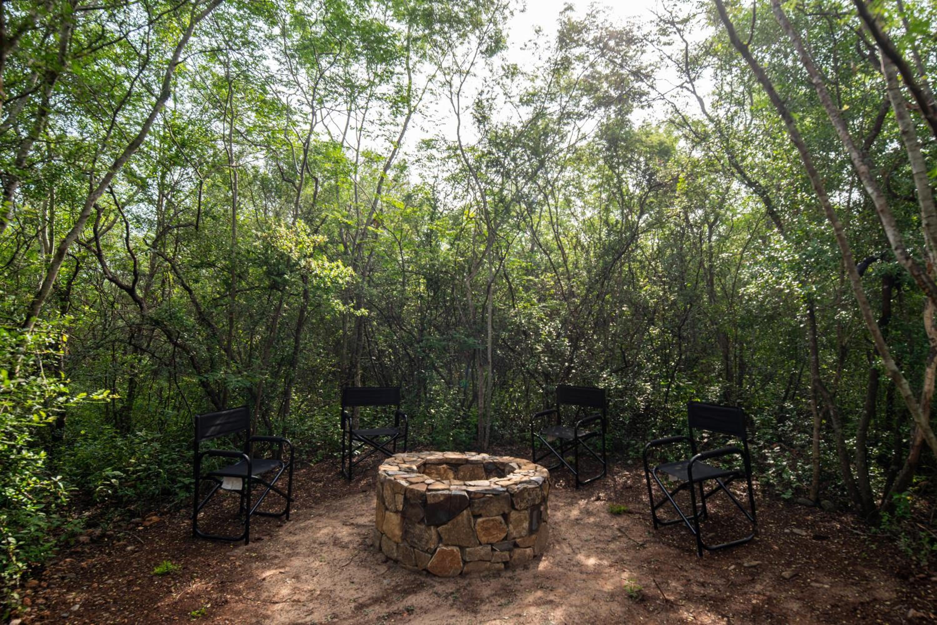 Campizo Glamping - Monterrey X NANTLI LIVING view 5