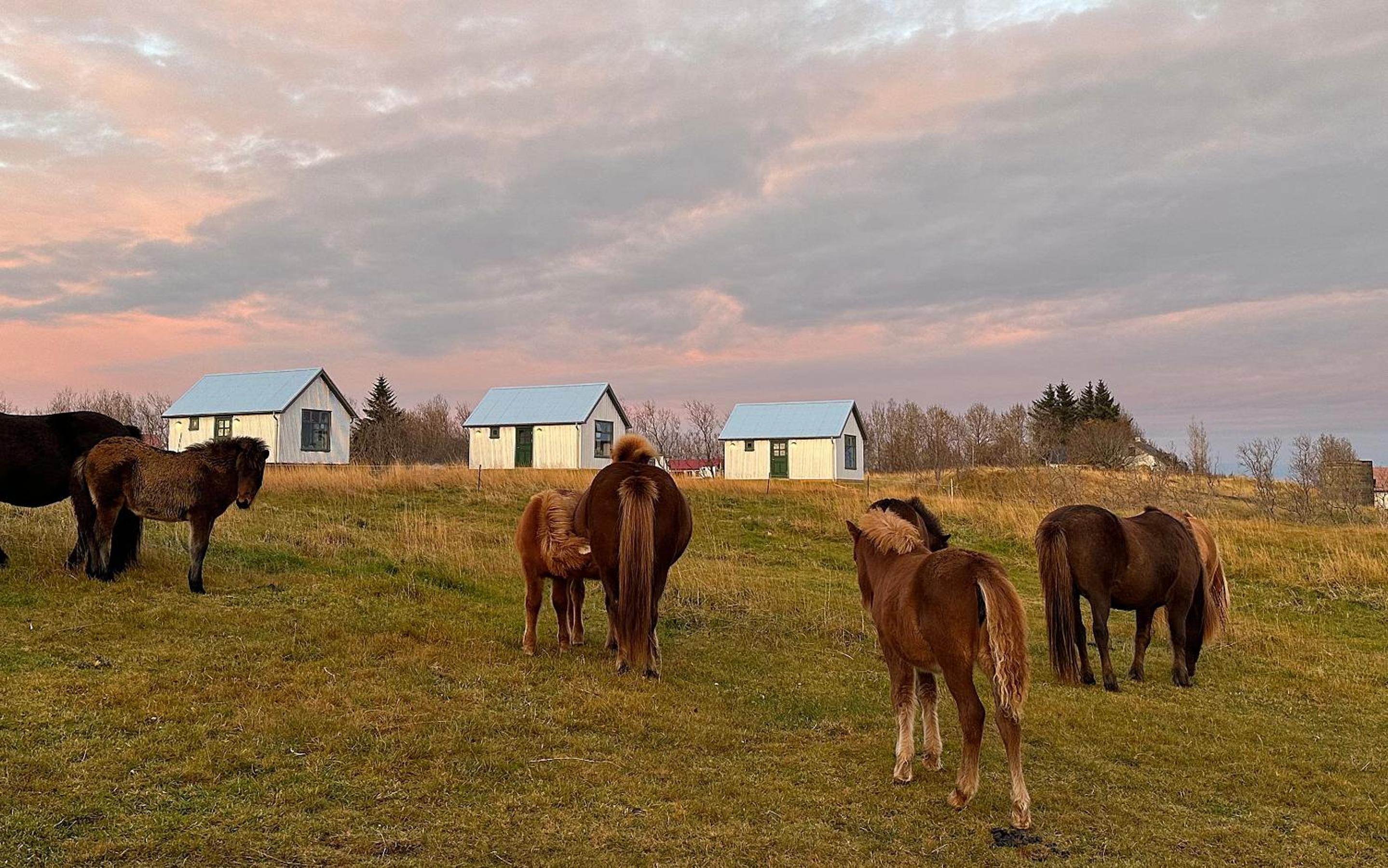 Áskot Cottages