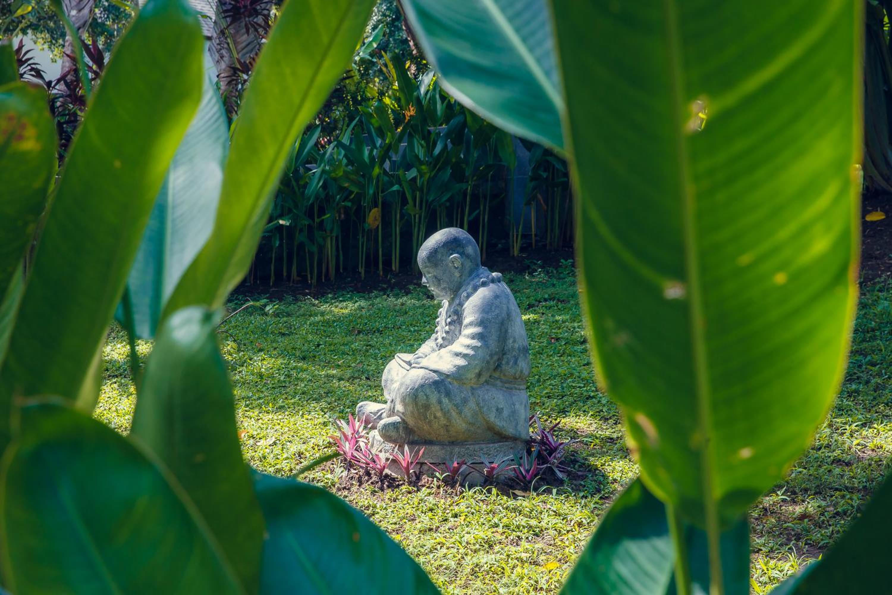 Anima Retreat Bali