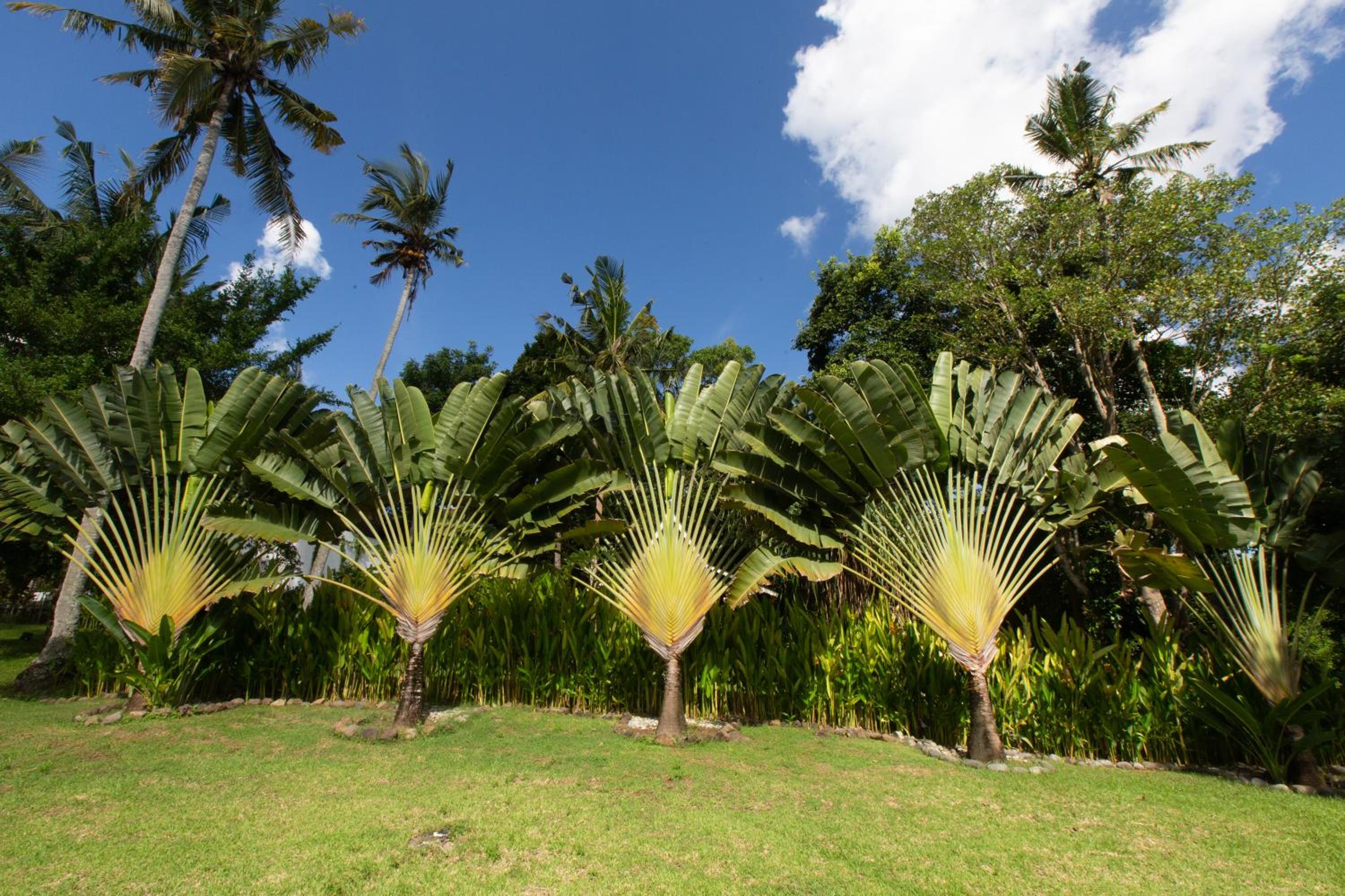 Anima Retreat Bali